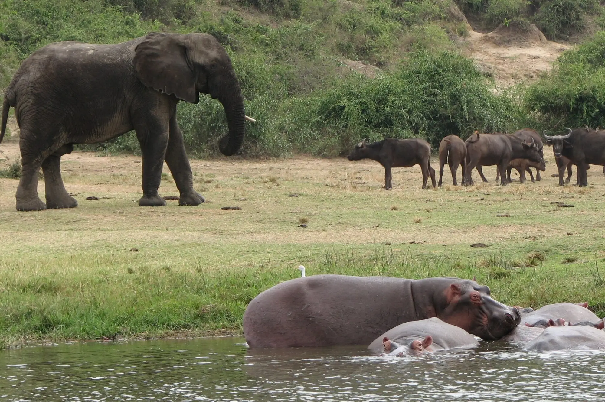 15 Day Uganda Wildlife and Cultural Safari Attraction