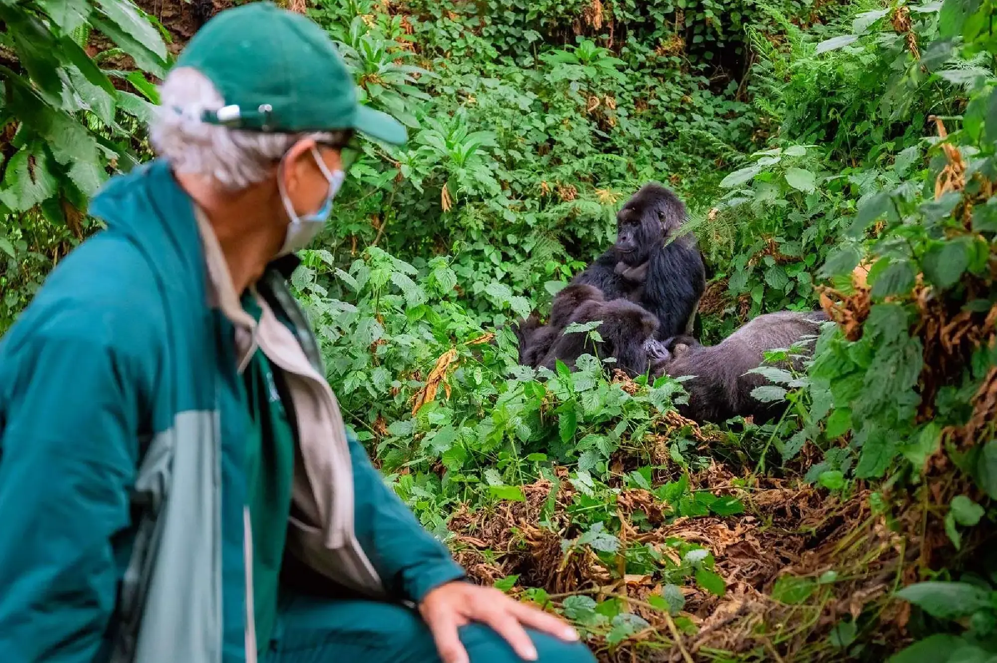 2 Days Rwanda Gorilla Tour Attractions
