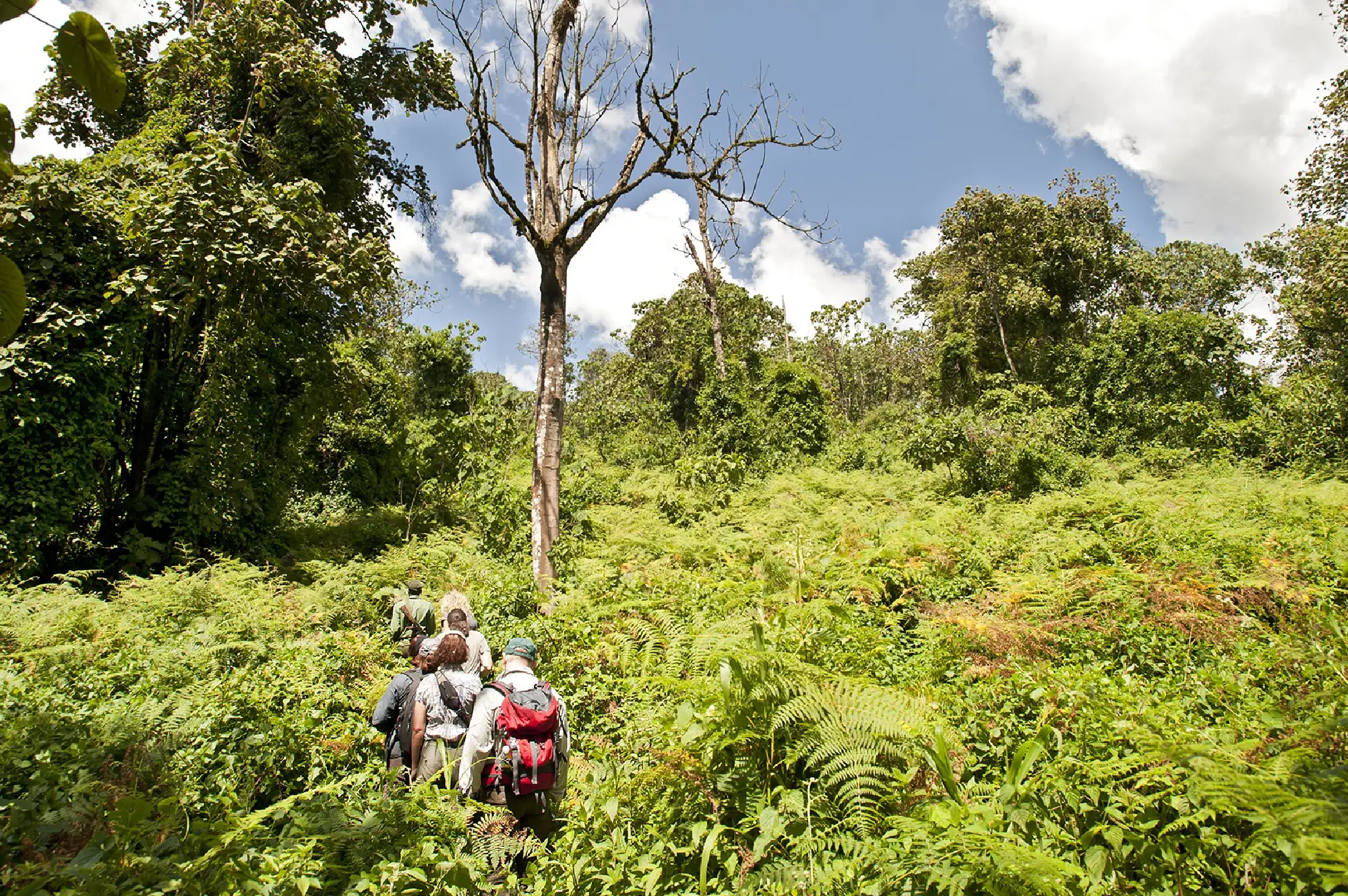 2 Days Rwanda Gorilla Tour Attractions