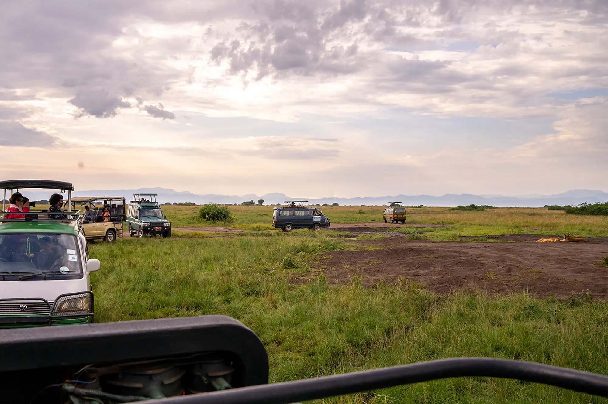 3 Days Akagera Wildlife and Game Safari Attractions