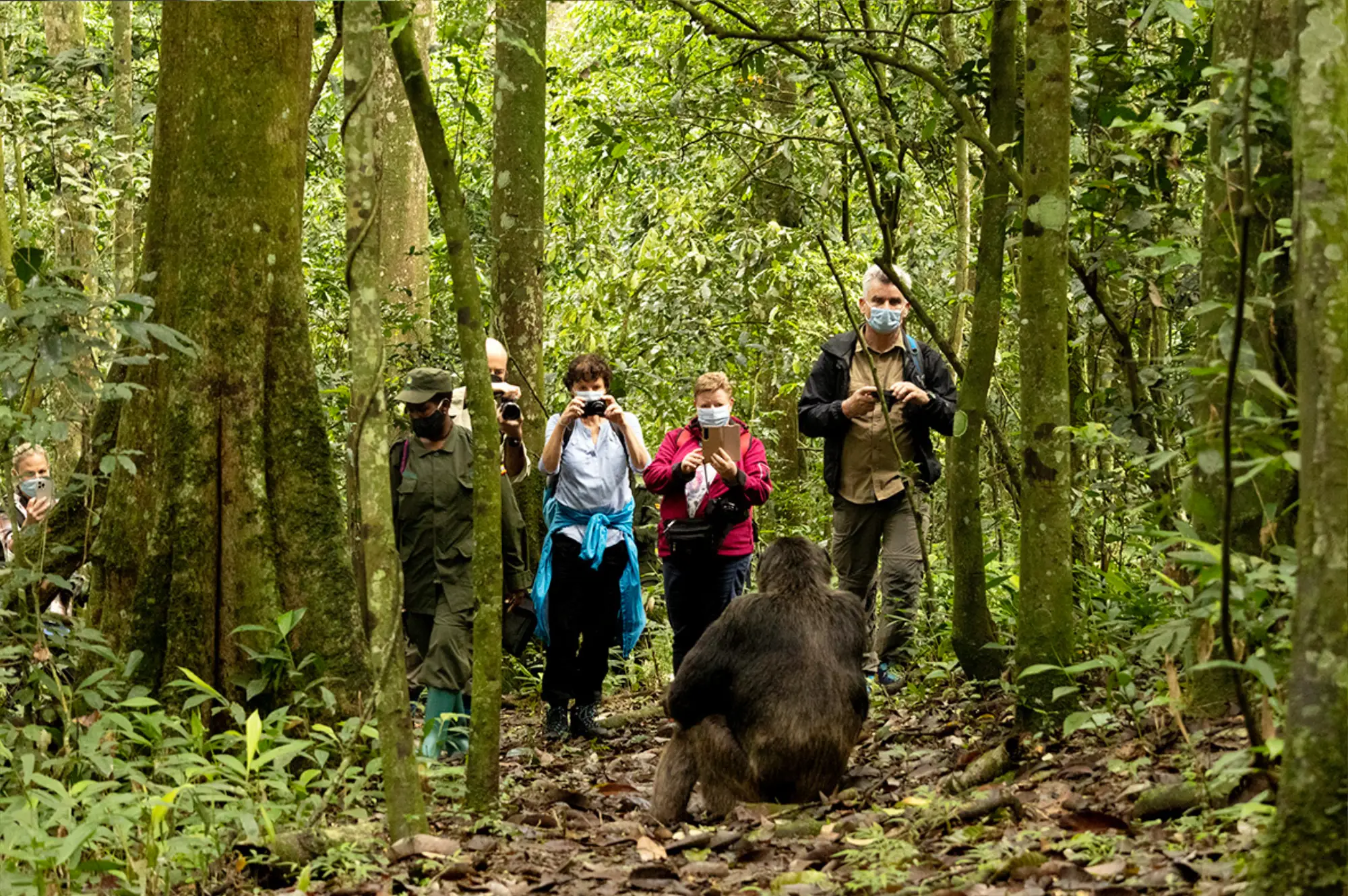 3 Days Kibaale Chimpanzee Tour Attractions