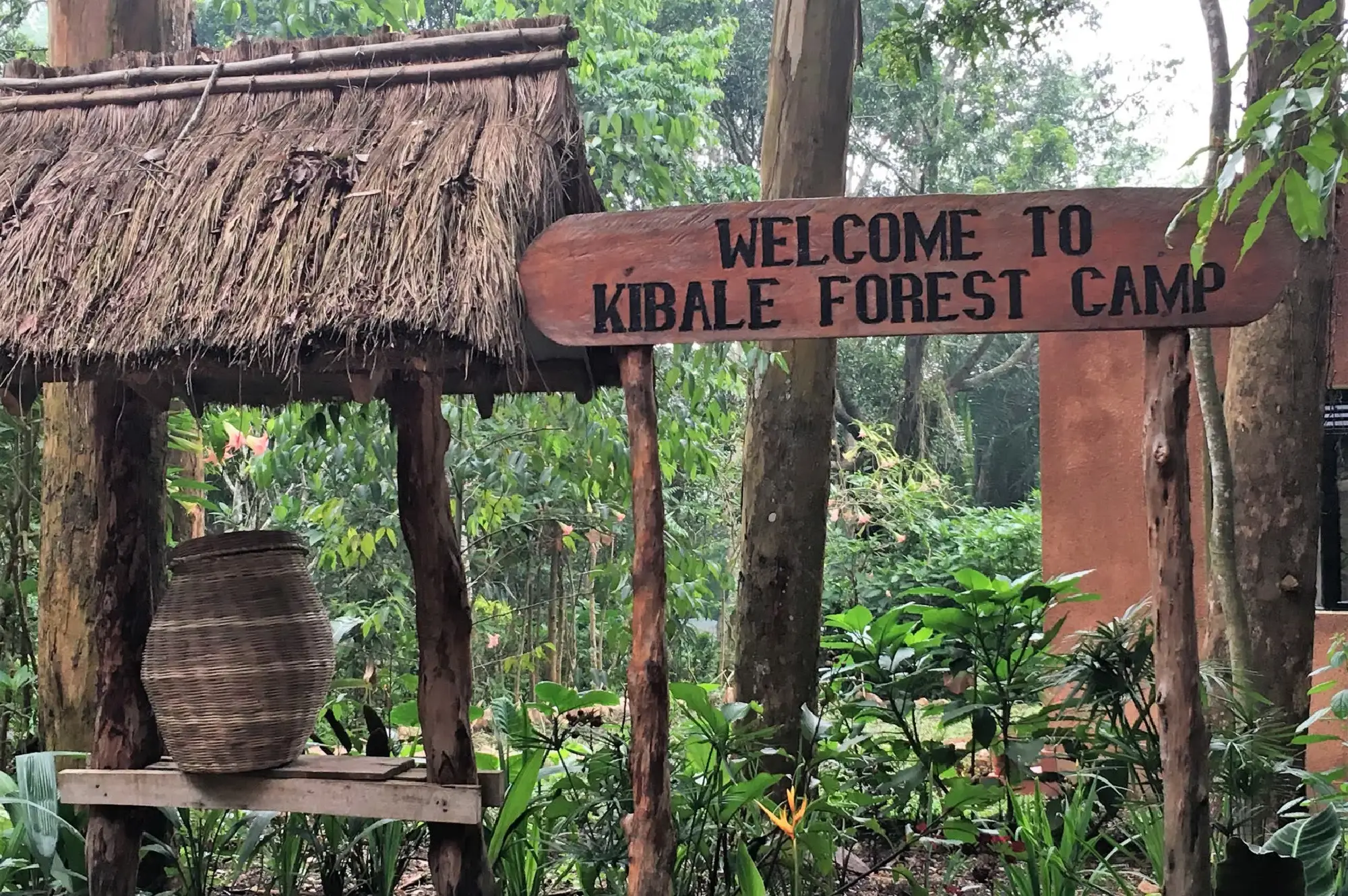 3 Days Kibaale Chimpanzee Tour Attractions
