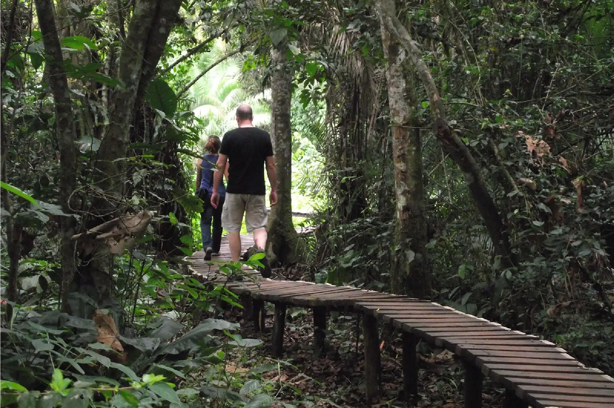 3 Days Kibaale Chimpanzee Tour Attractions