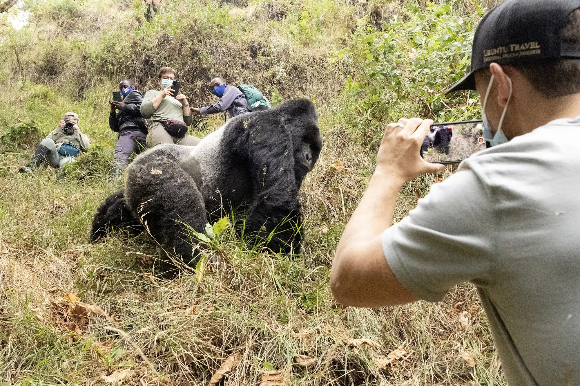3 Days Mgahinga Gorilla Safari Attraction