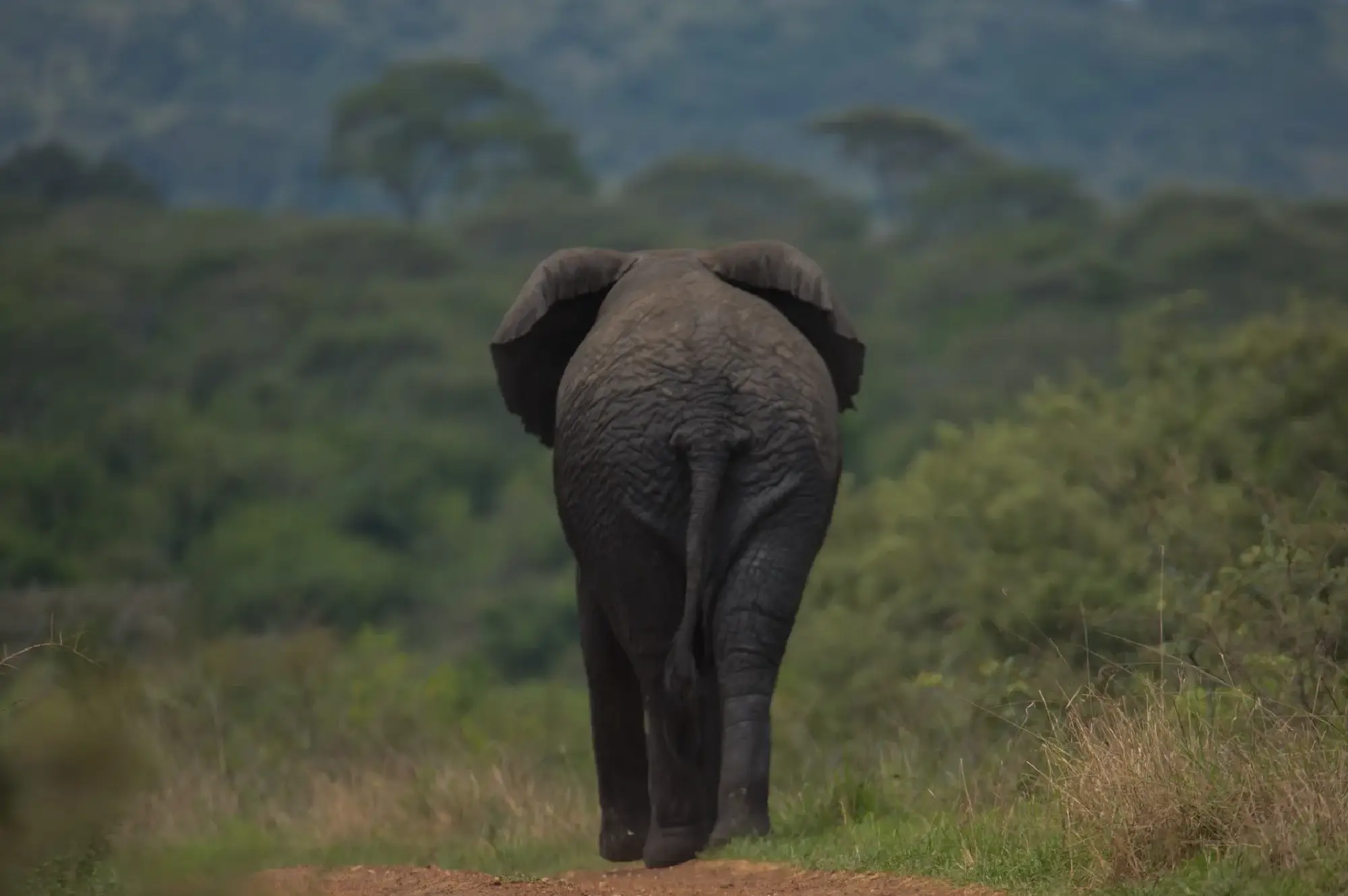 3 days Murchison Falls trip Attraction