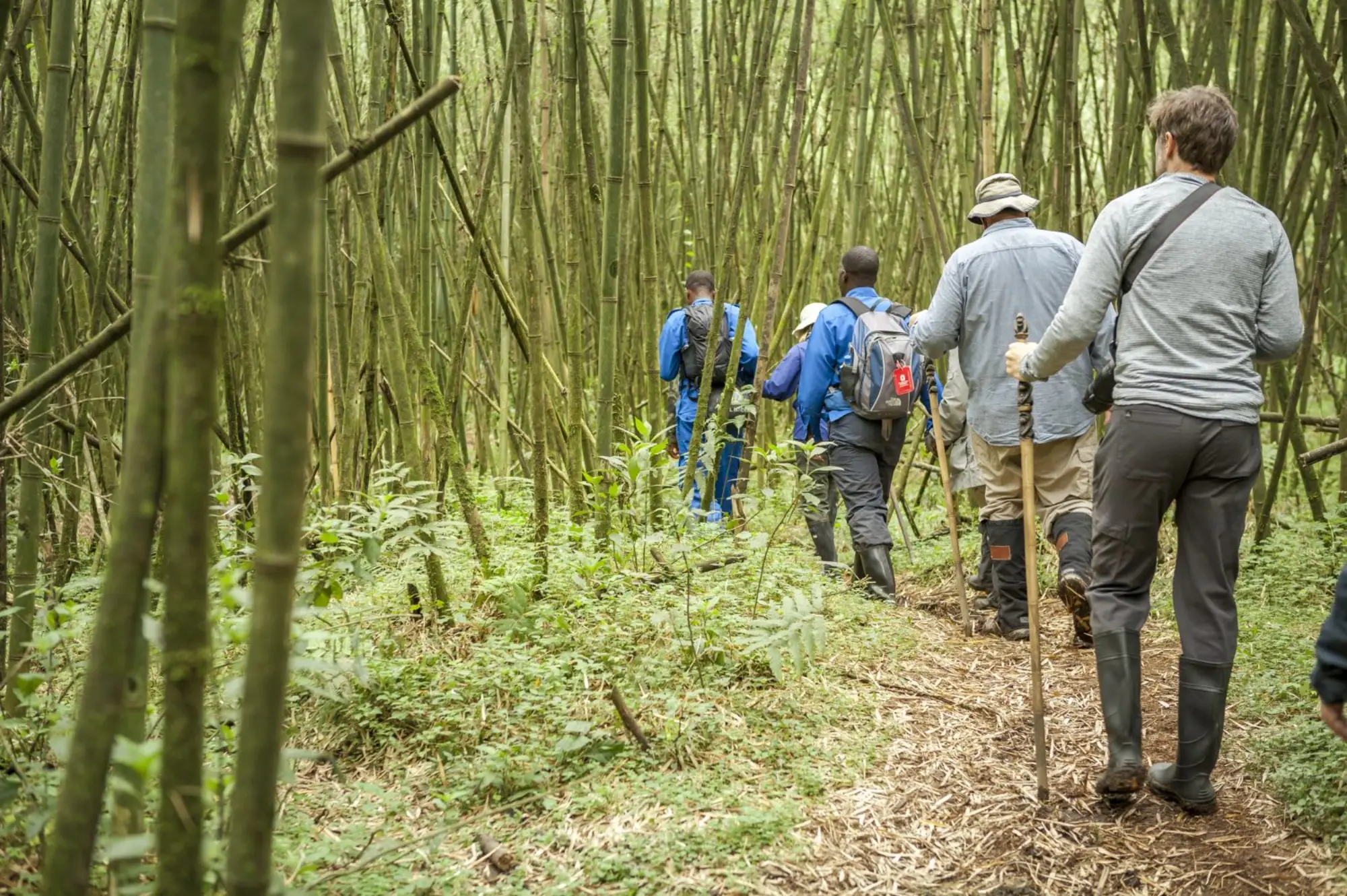 4 DayDouble Gorilla Trekking in Rwanda Attractions