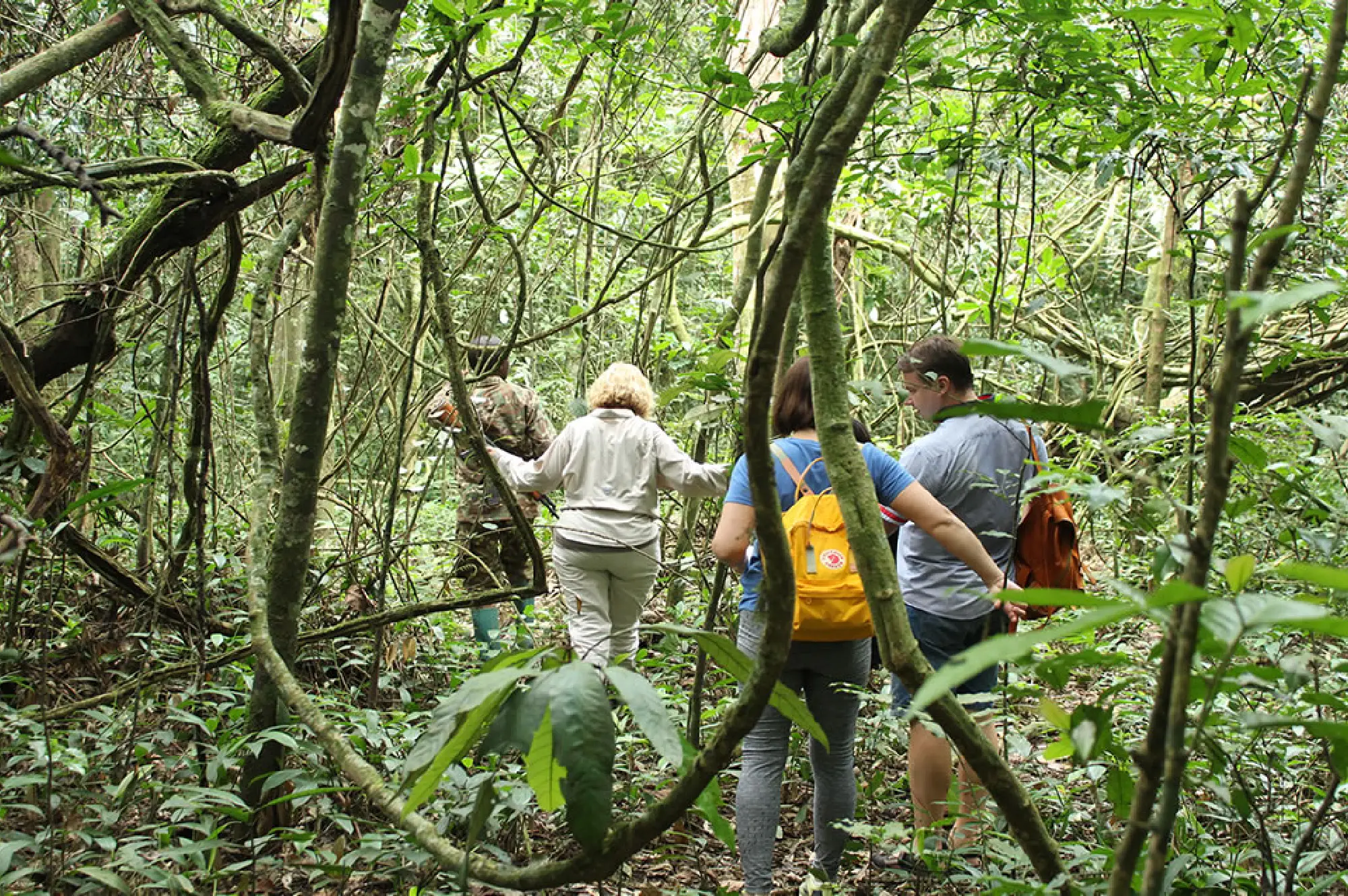 4 Days Nyungwe Chimpanzee Trek Attractions