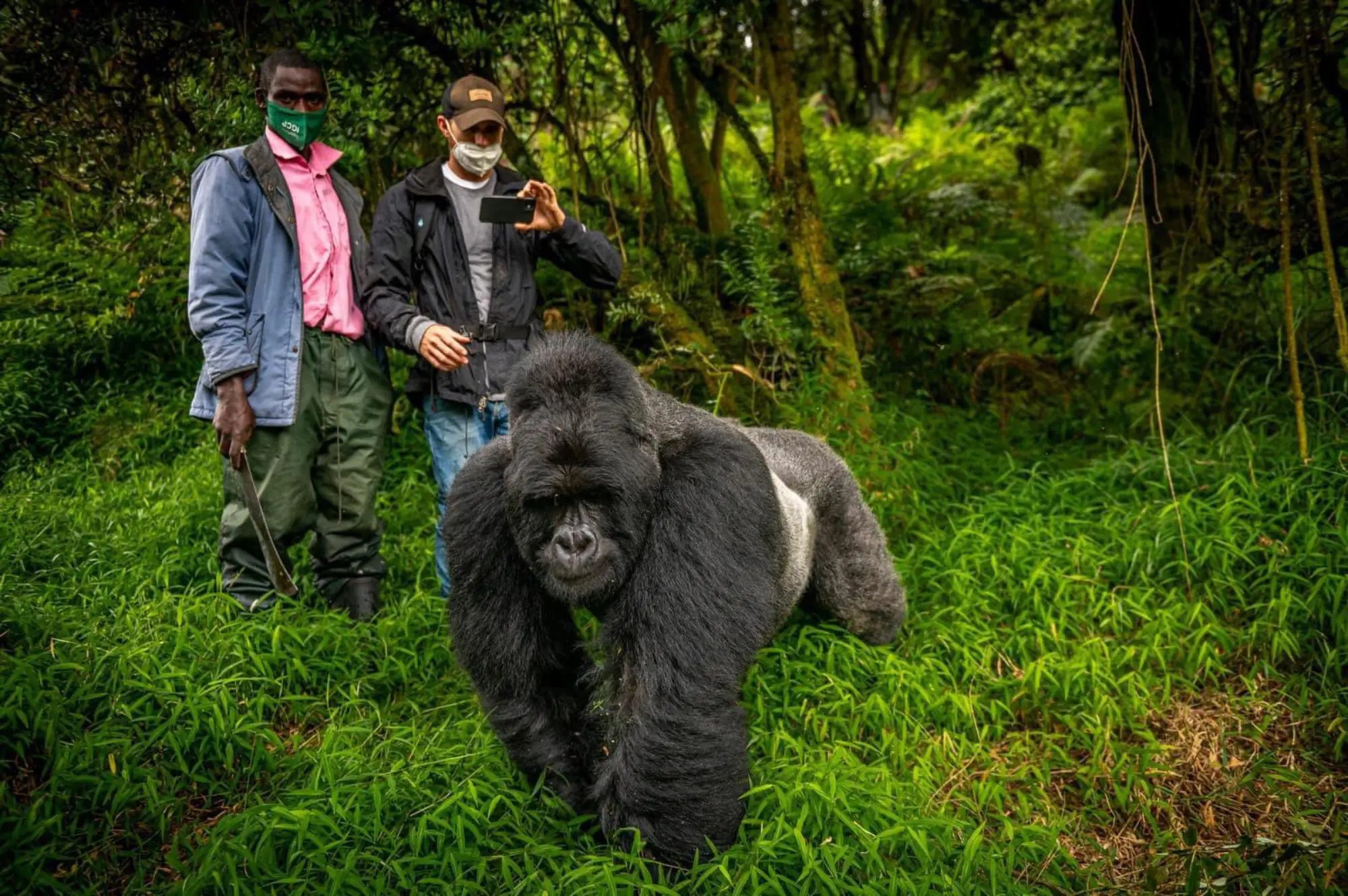4 Days Bwindi Tour Attractions