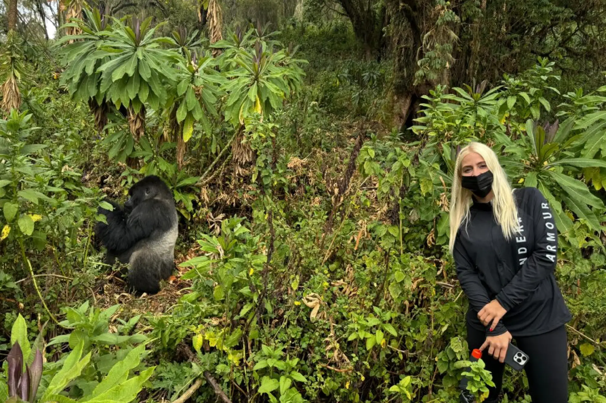 4 Days Rwanda Gorilla Trekking and Mount Bisoke Hike Attractions