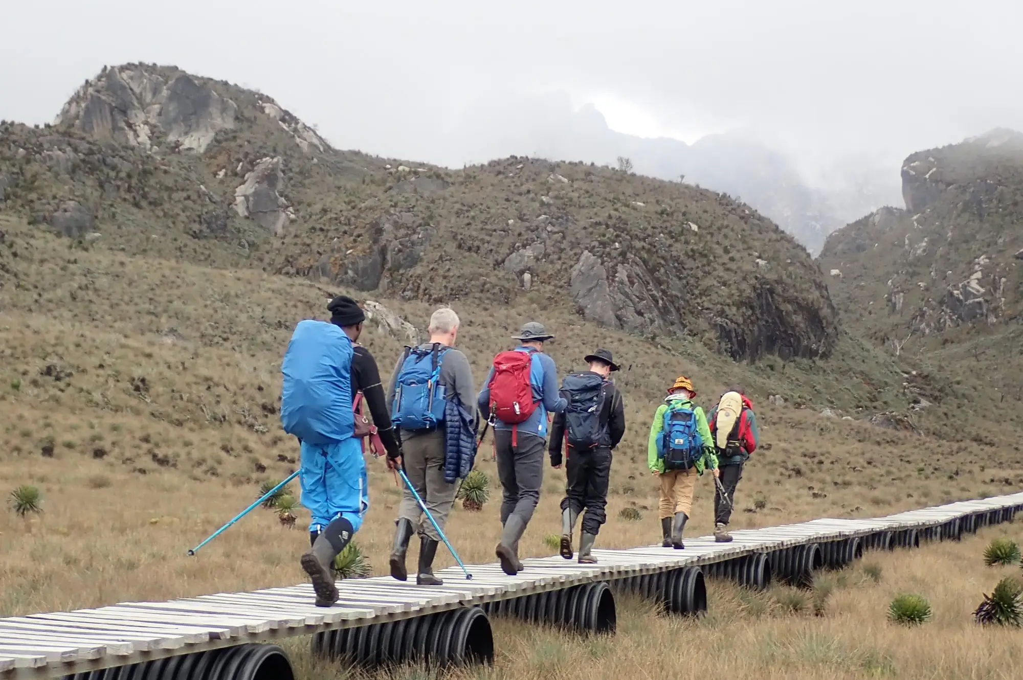 4 Days Rwenzori Mountain hiking trip Attraction