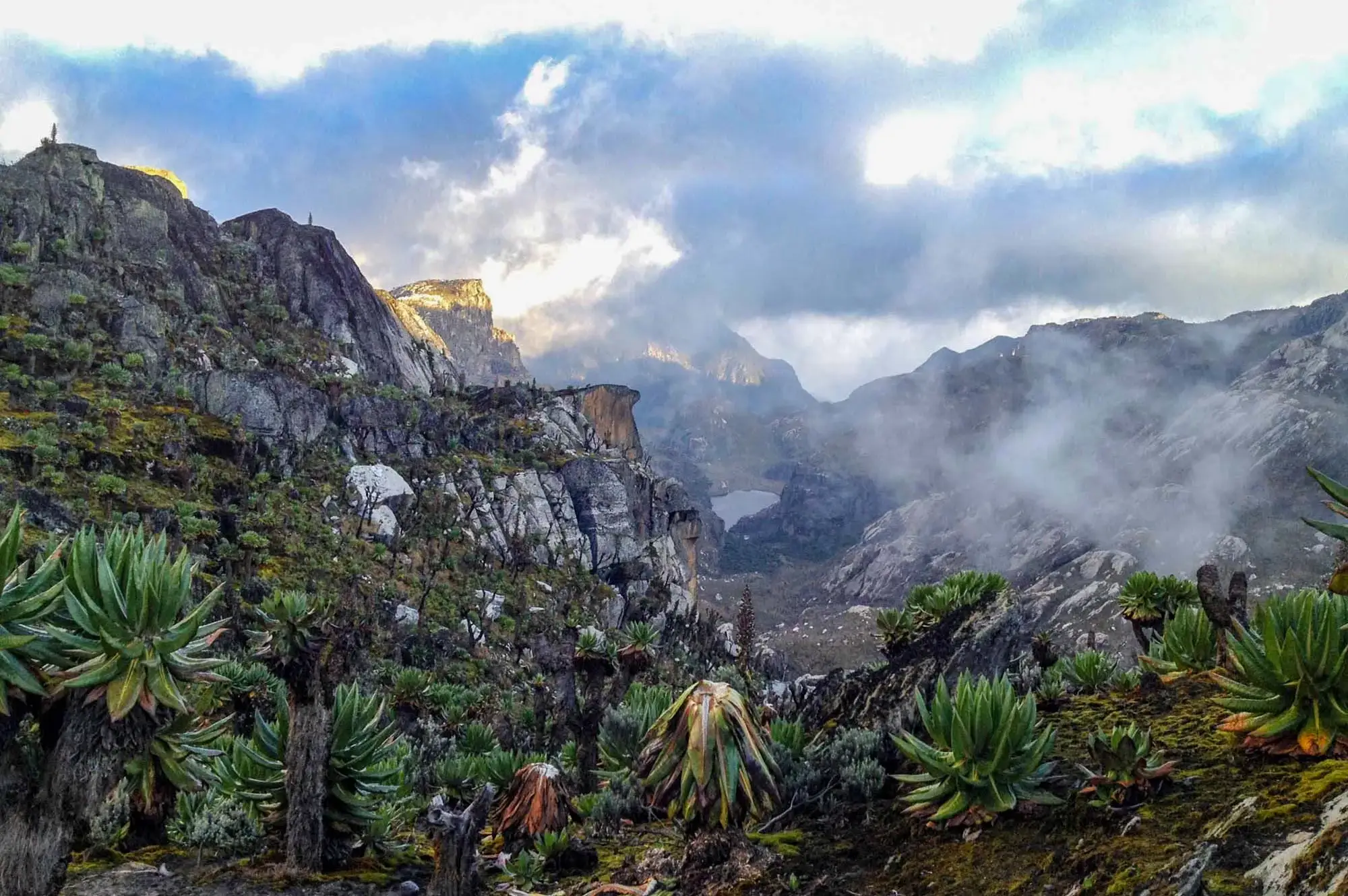 4 Days Rwenzori Mountain hiking trip Attraction