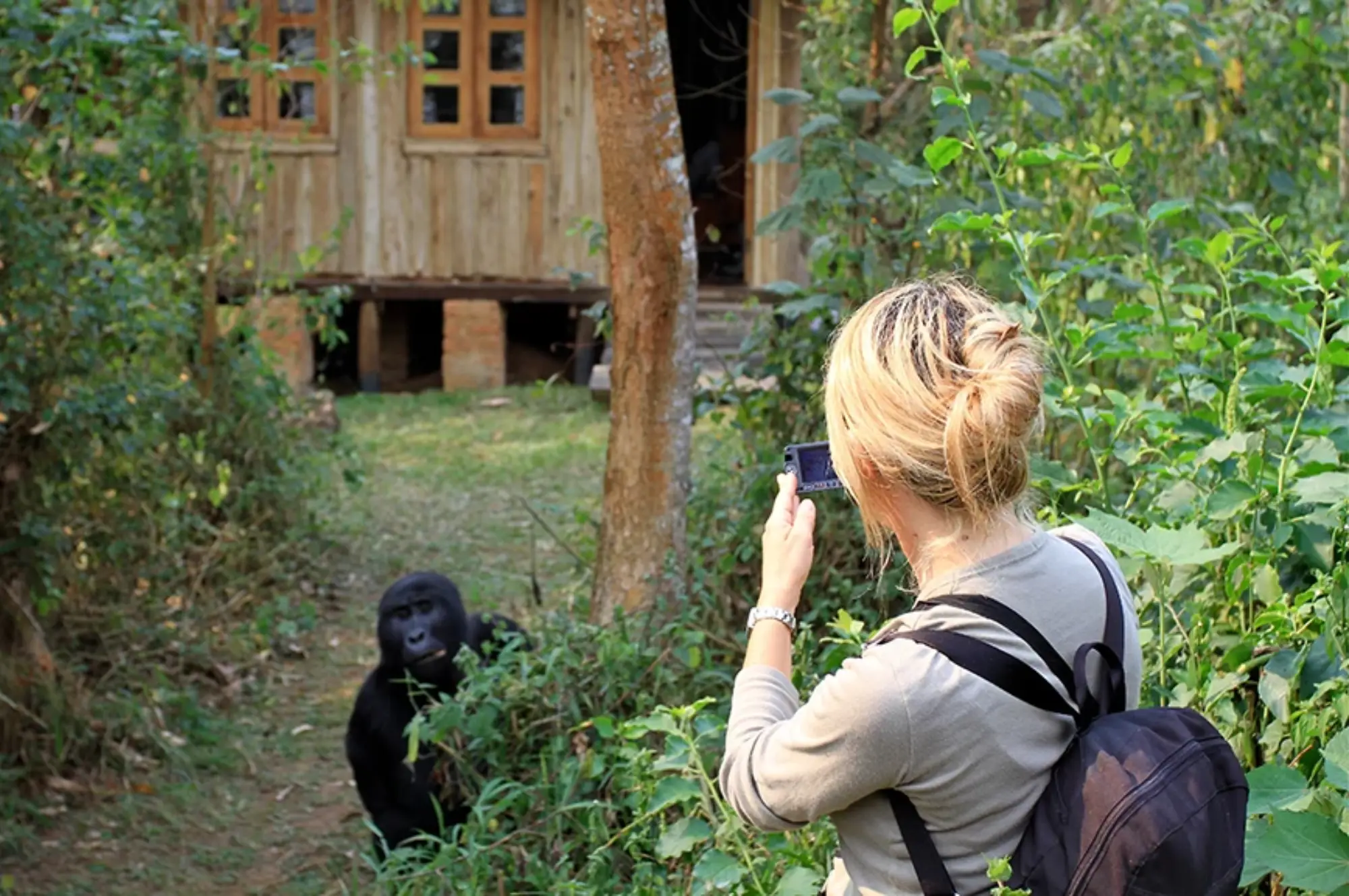 5 Day Gorillas and Wild life Attractions