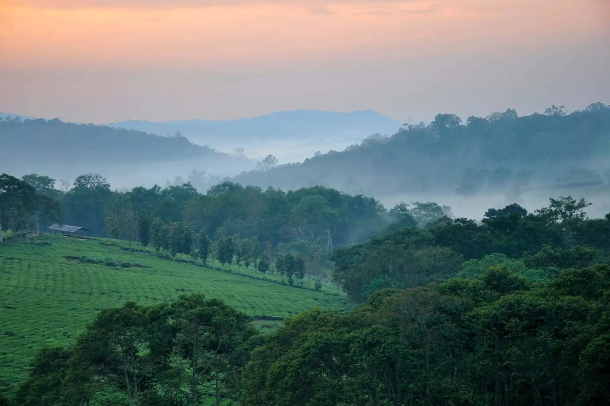 5 Days Lake Mburo & Kibale Forest Safari Attraction