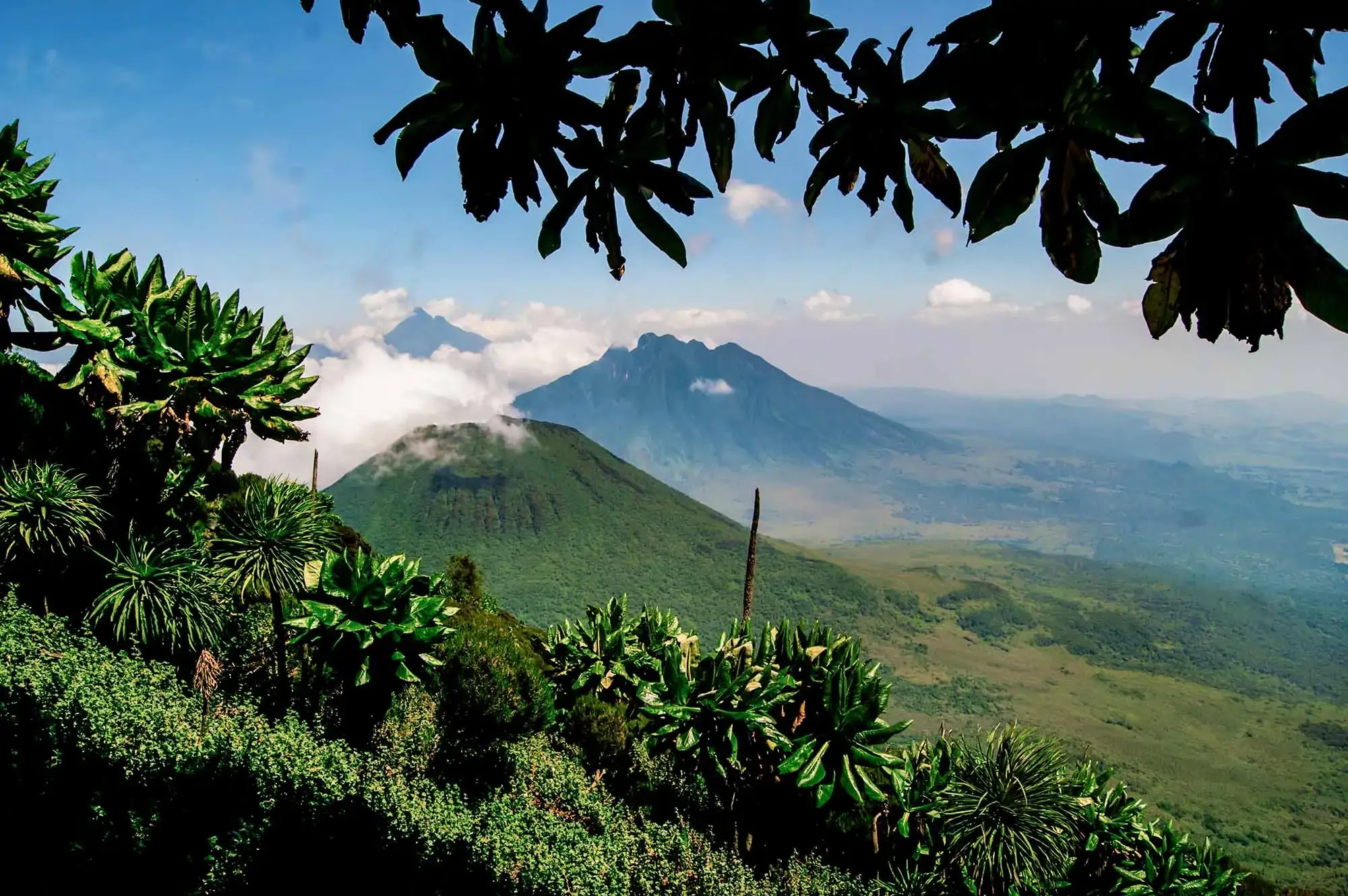 5 Days Mgahinga Hiking Adventure Attraction