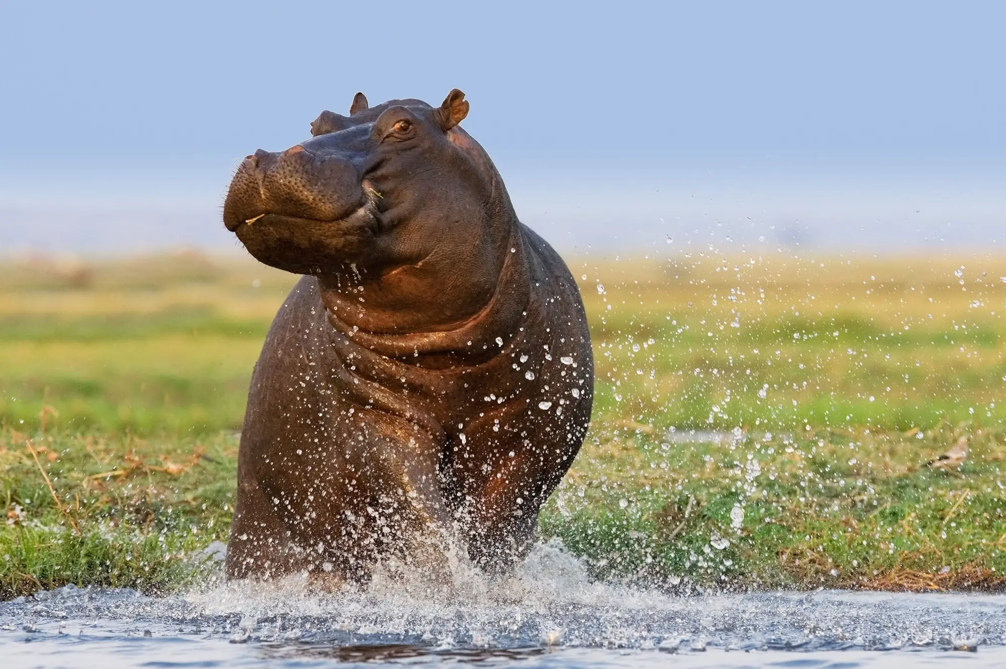 5 days Nile Murchison and Chimpanzee Safari Attraction