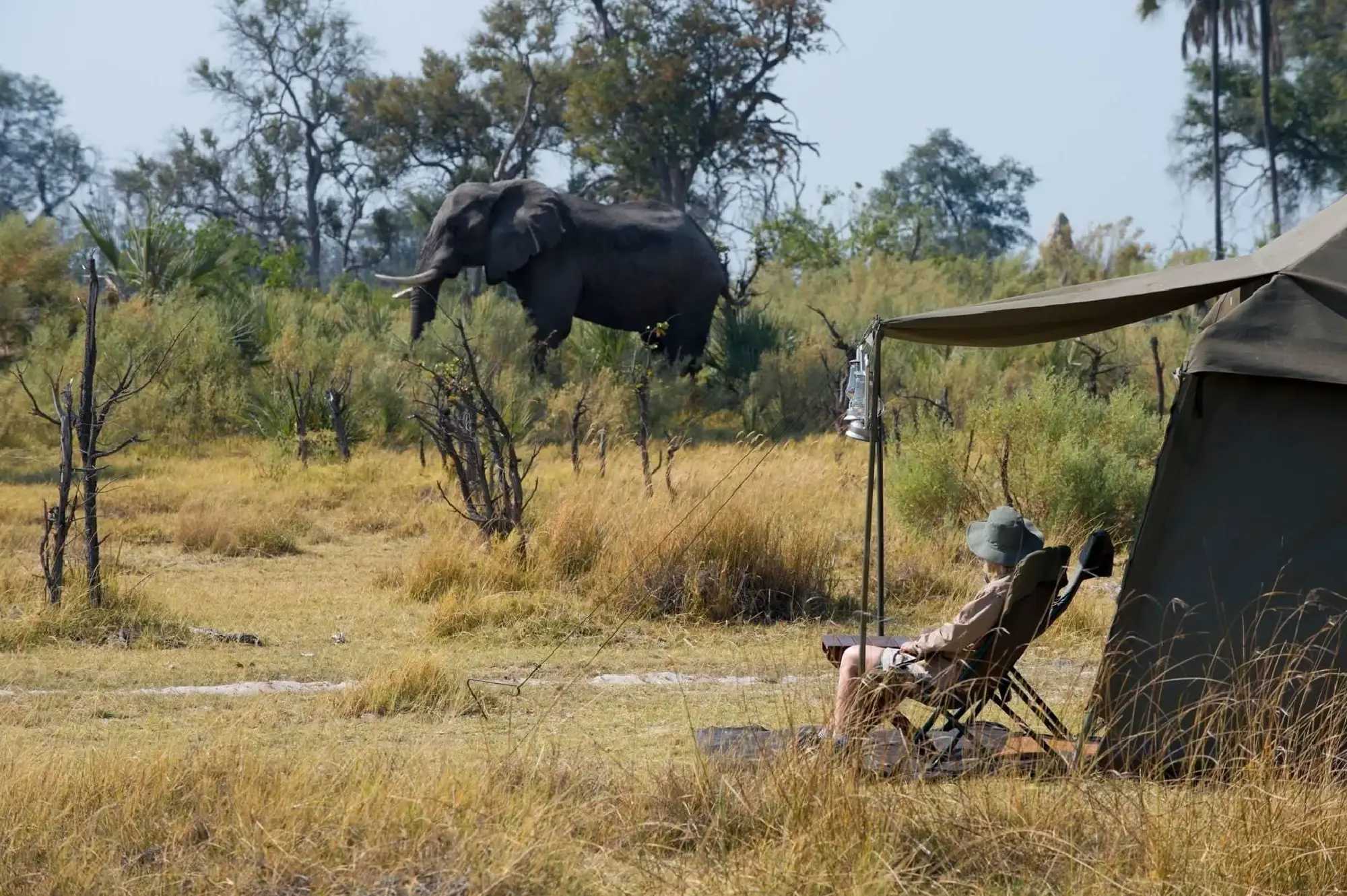5 Days Uganda Gorilla & Wildlife Camping Safari Attraction