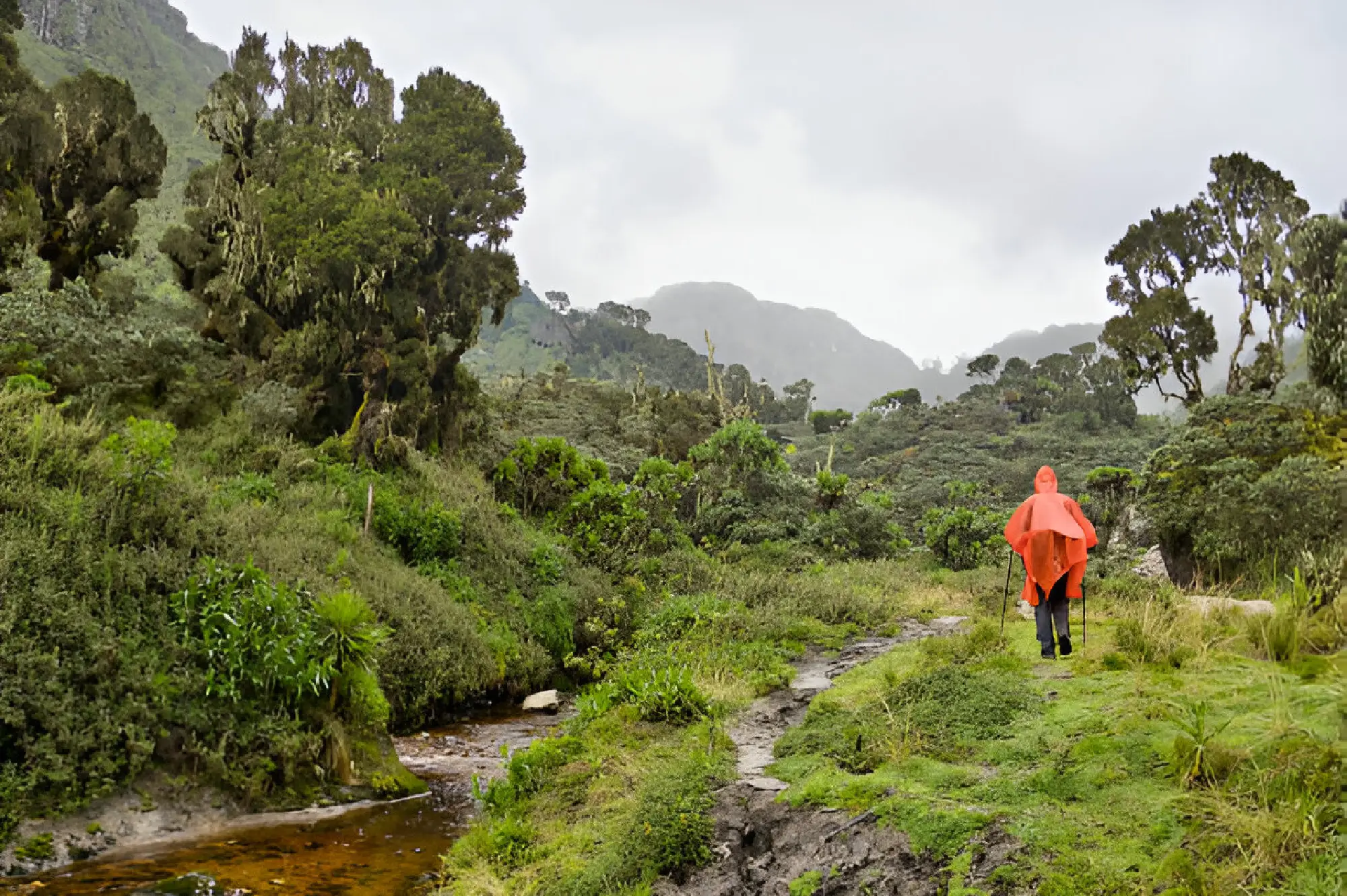6 Days Mgahinga Hiking Safari Trekking