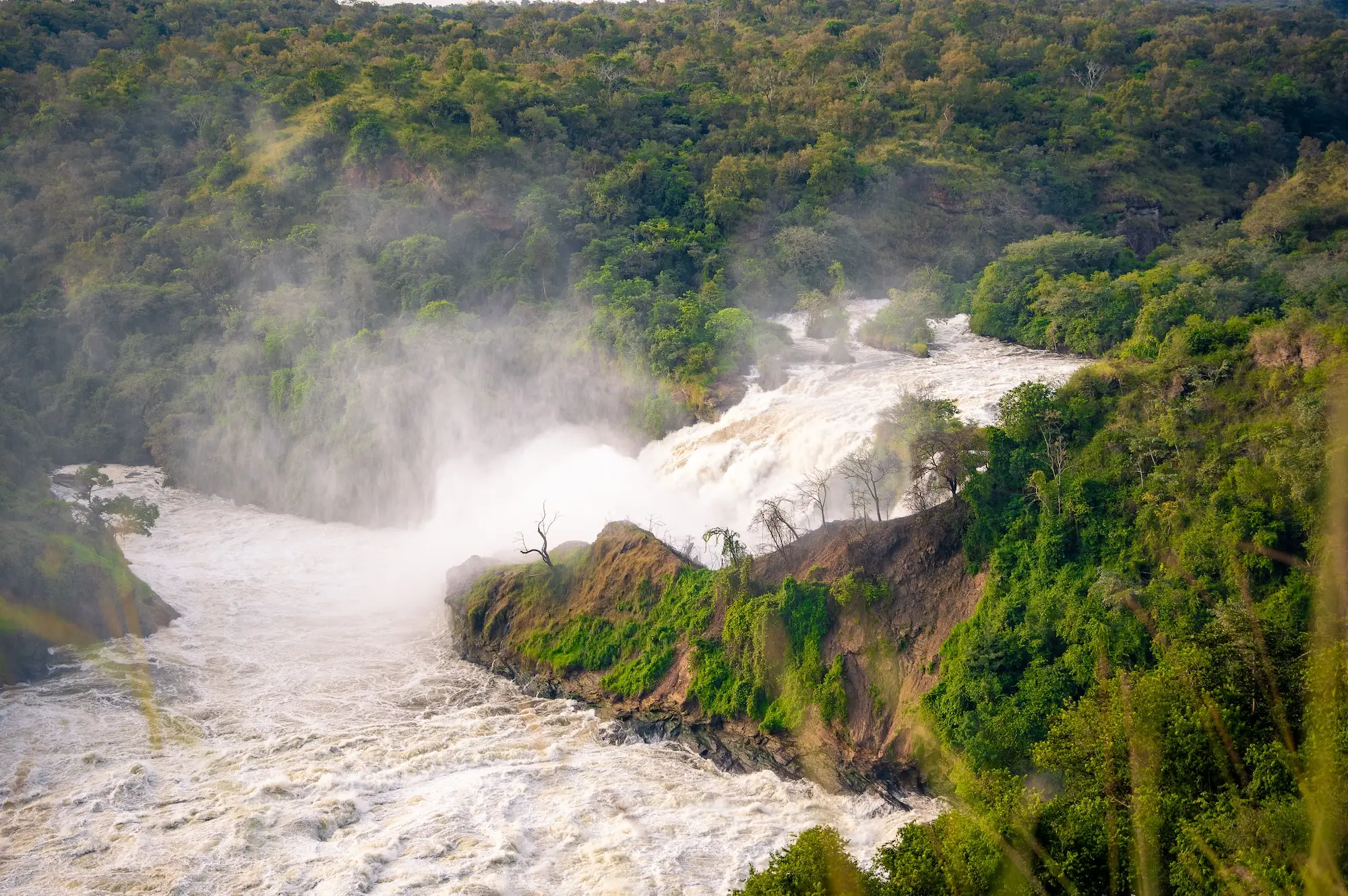 6 Days Queen Elizabeth and Murchison Falls Safari Attraction