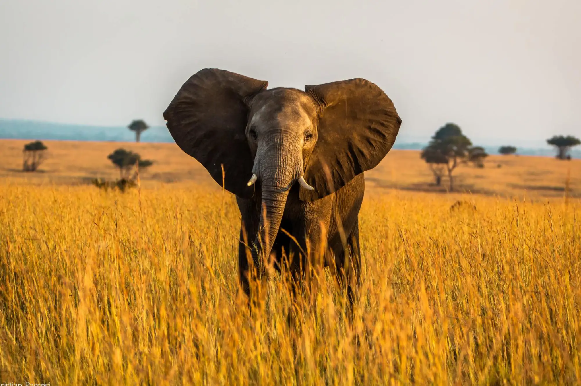 6 Days Uganda Luxury Safari Attractions