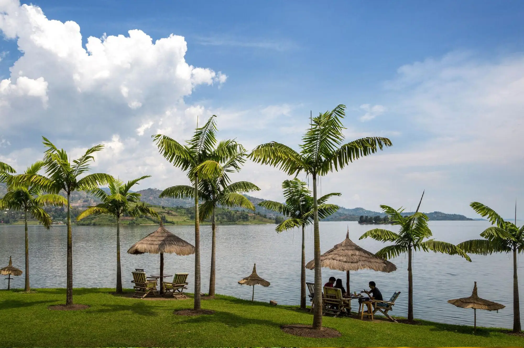 7 Days Chimps and Gorillas Safari Attractions