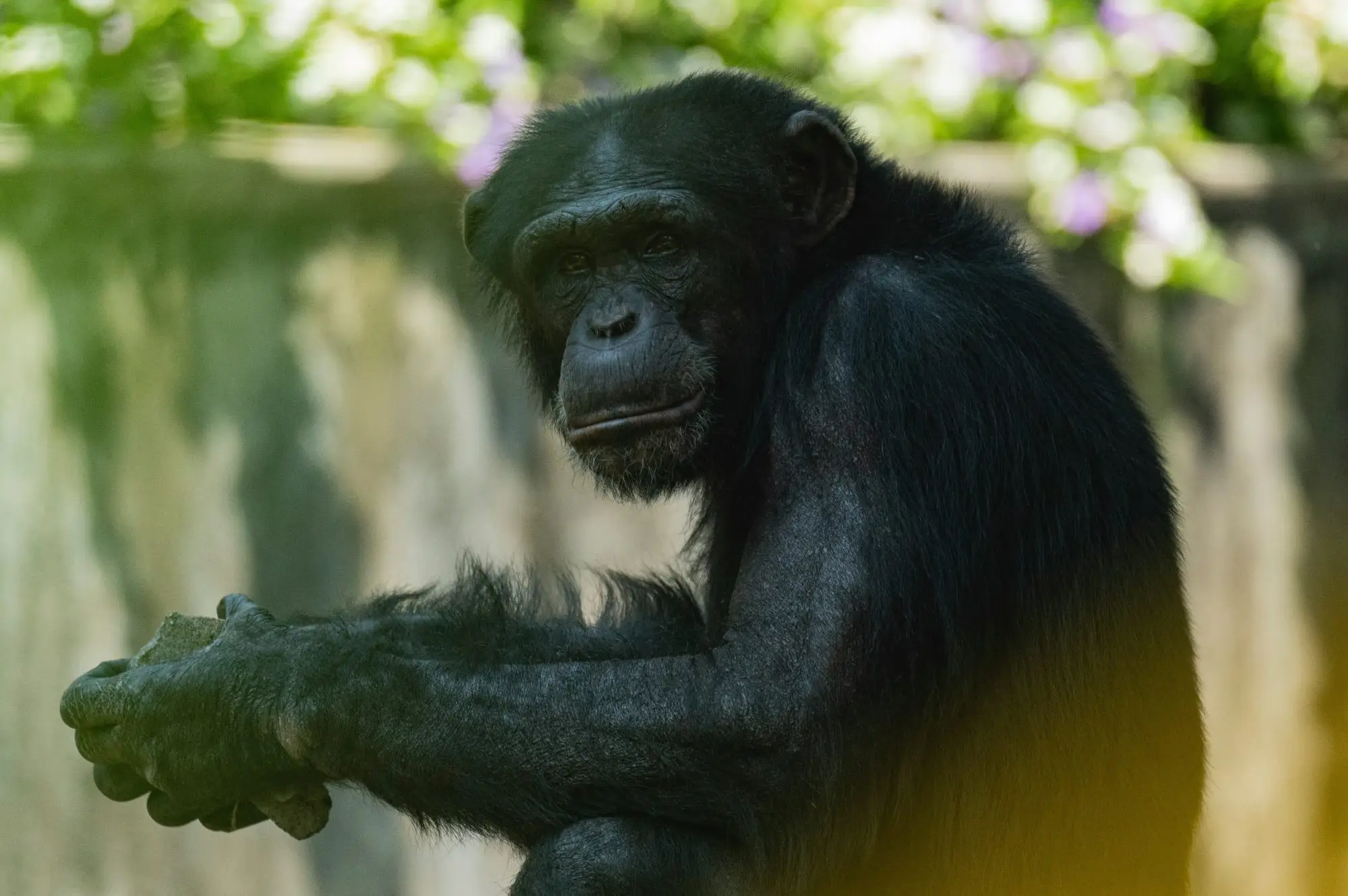 7 Day Uganda Kibiro Camping Safari Attraction