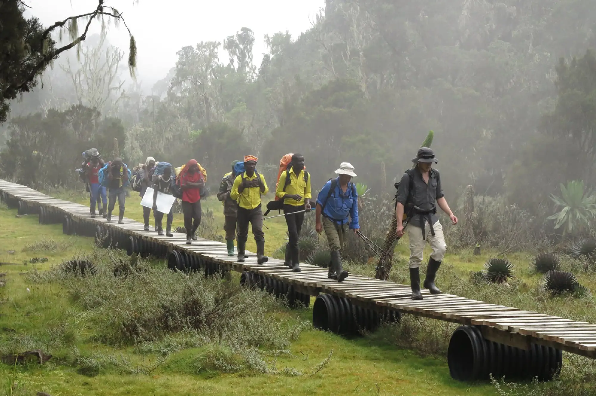 9 Days Climbing Expedition Majestic Rwenzori Attractions