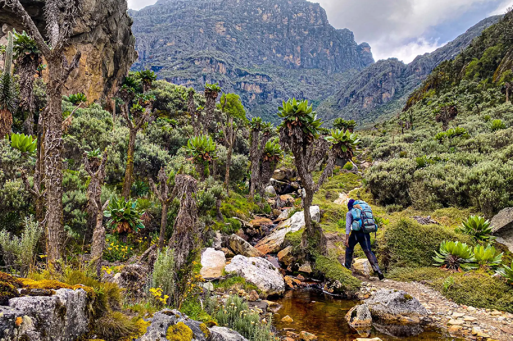 9 Days Climbing Expedition Majestic Rwenzori Attractions