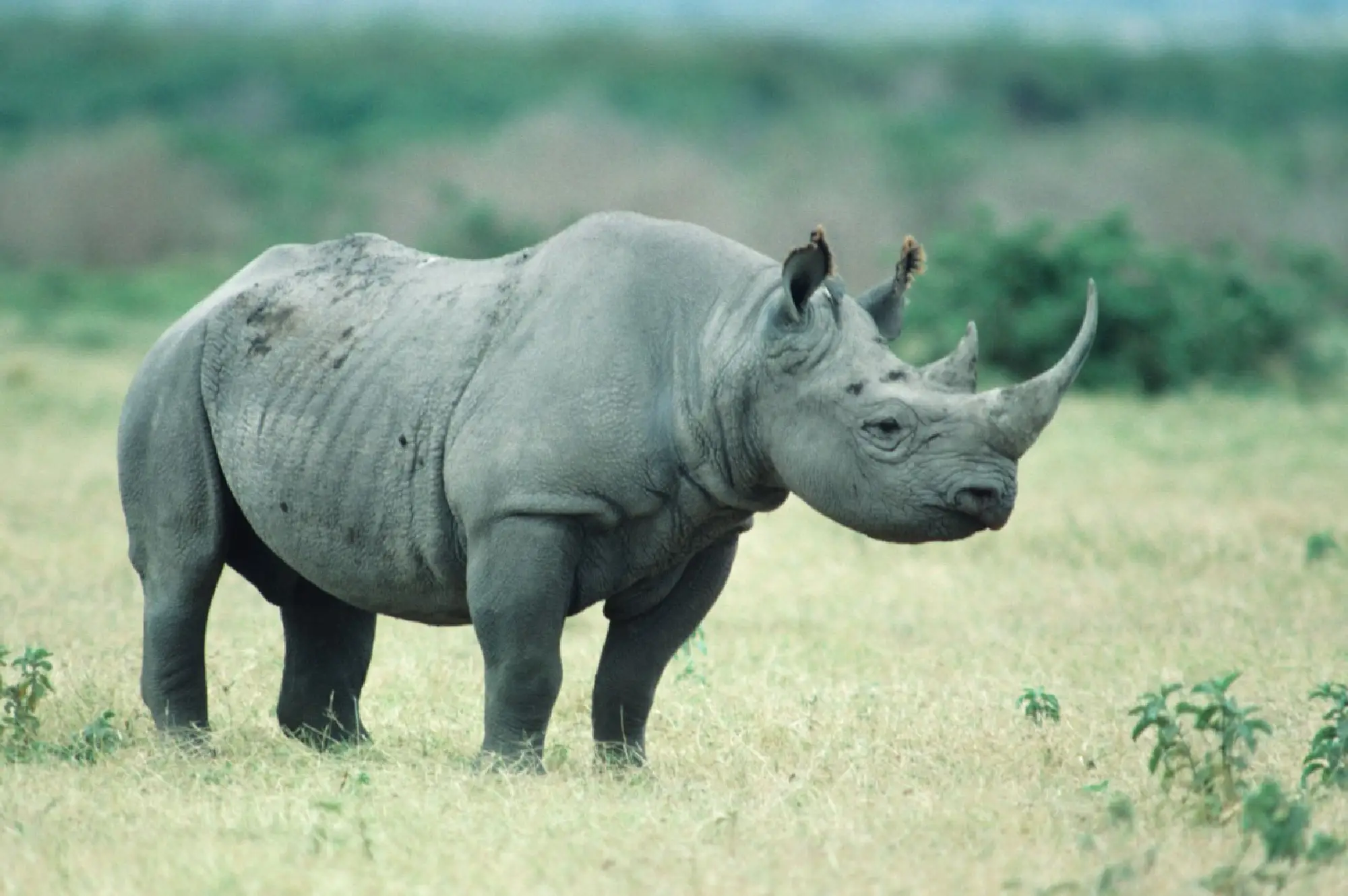 Akagera National Park Attractions