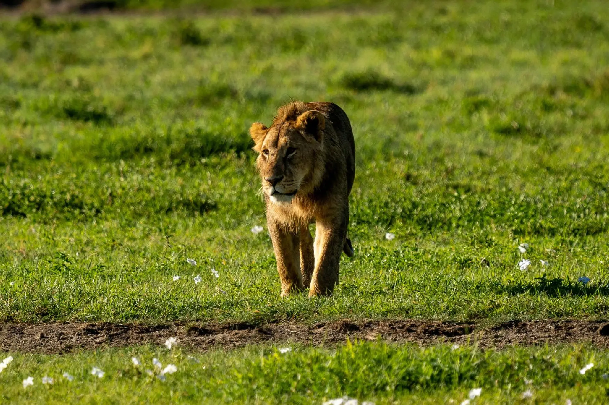 Arusha National Park Attractions