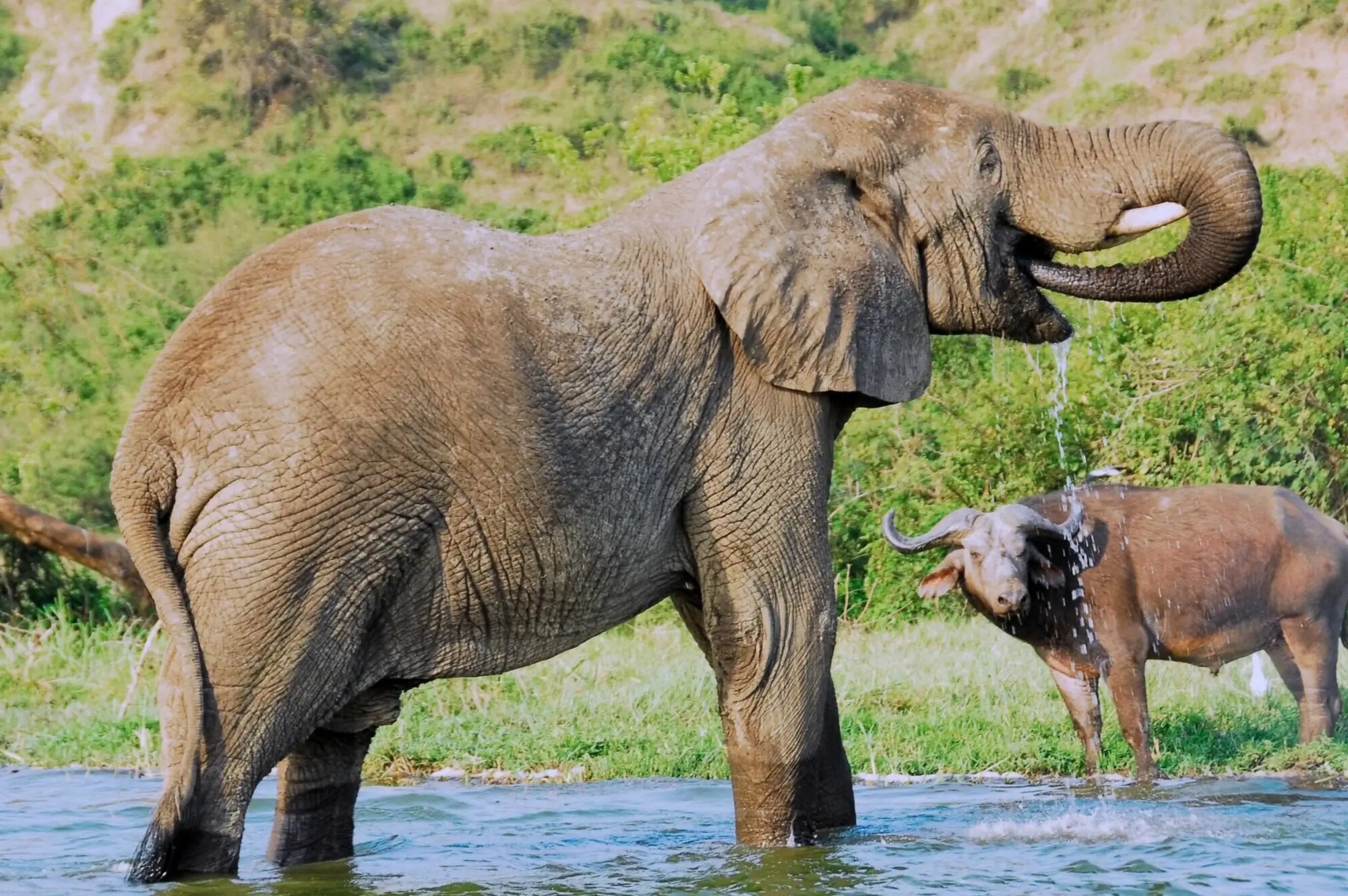 Kazinga Channel Attraction