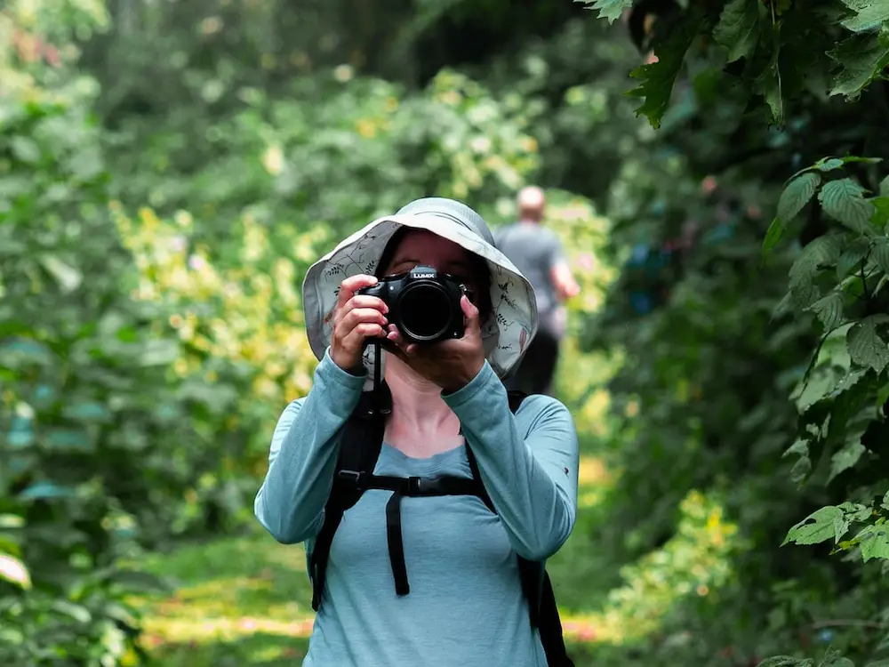 Bwindi Impenetrable National Park Attraction