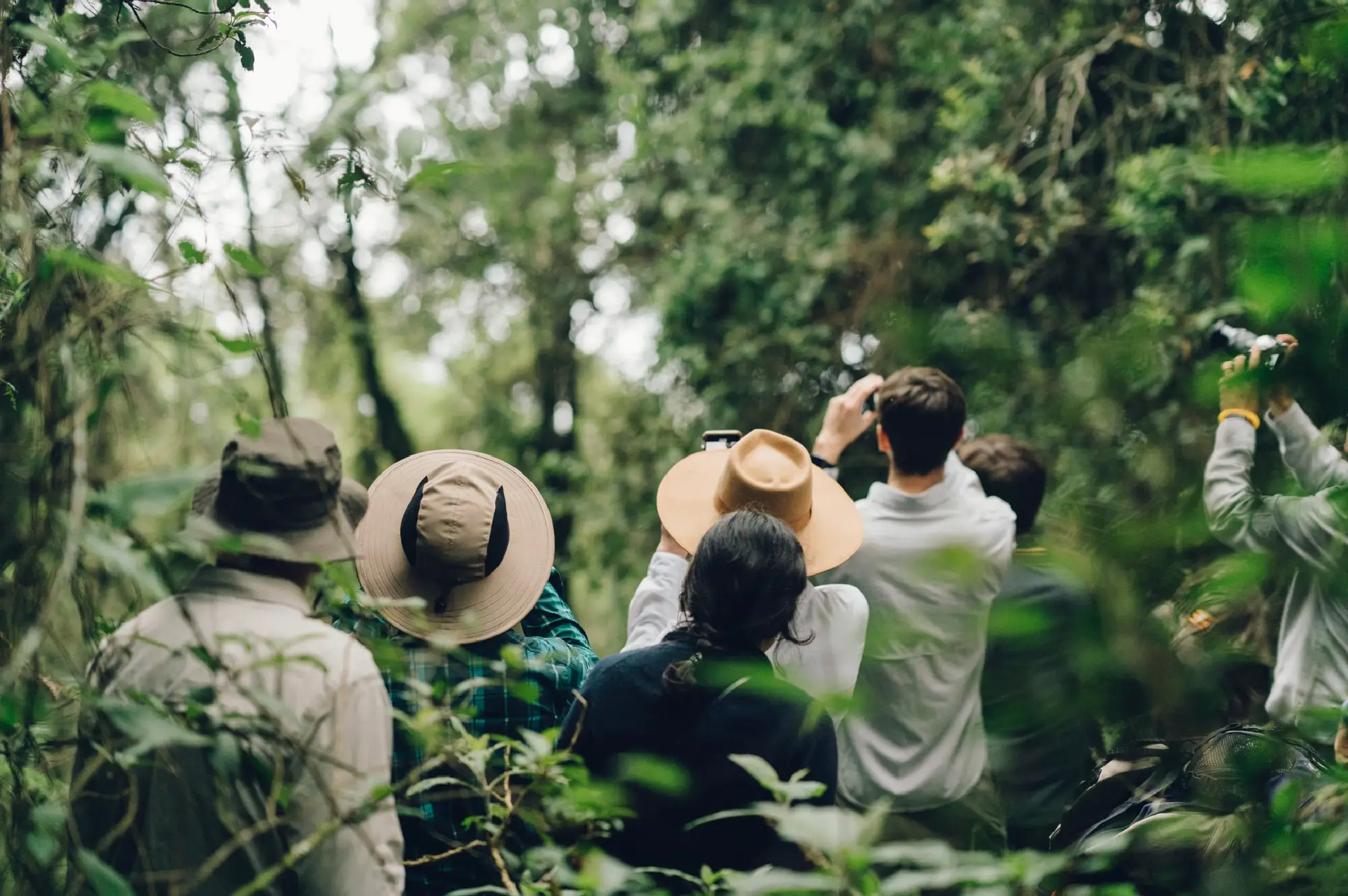Bwindi Impenetrable National Park Attraction