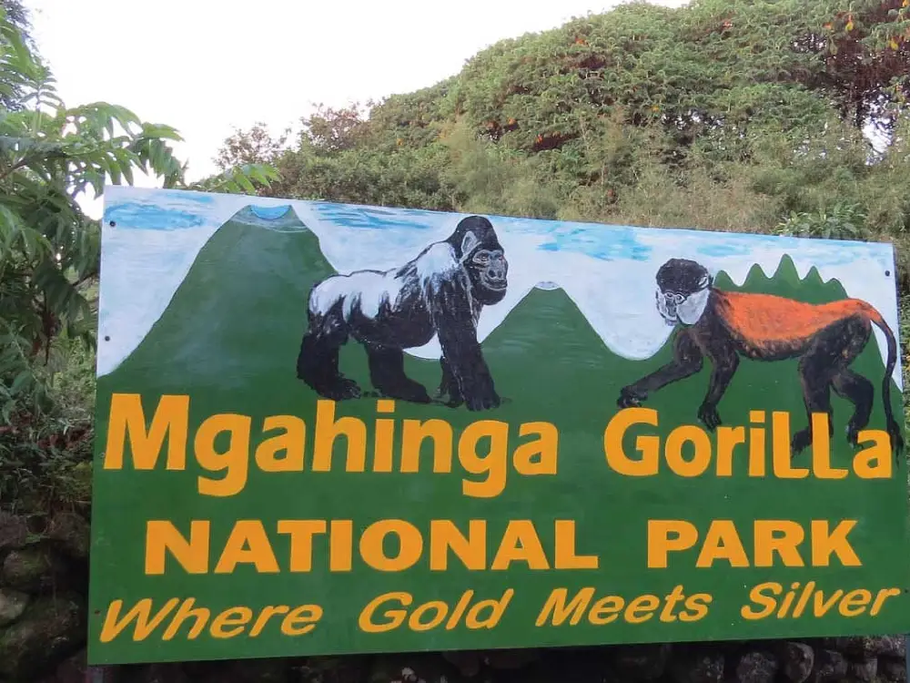 Mgahinga Gorilla National Park Attraction