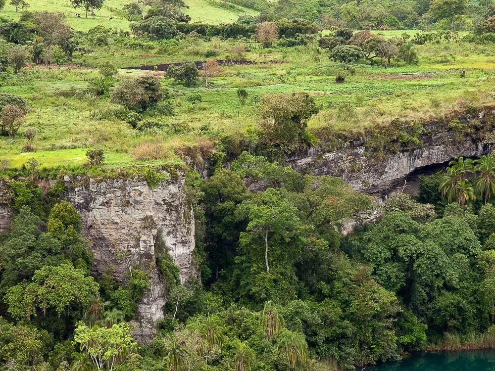 Kibale Forest National Park Attraction