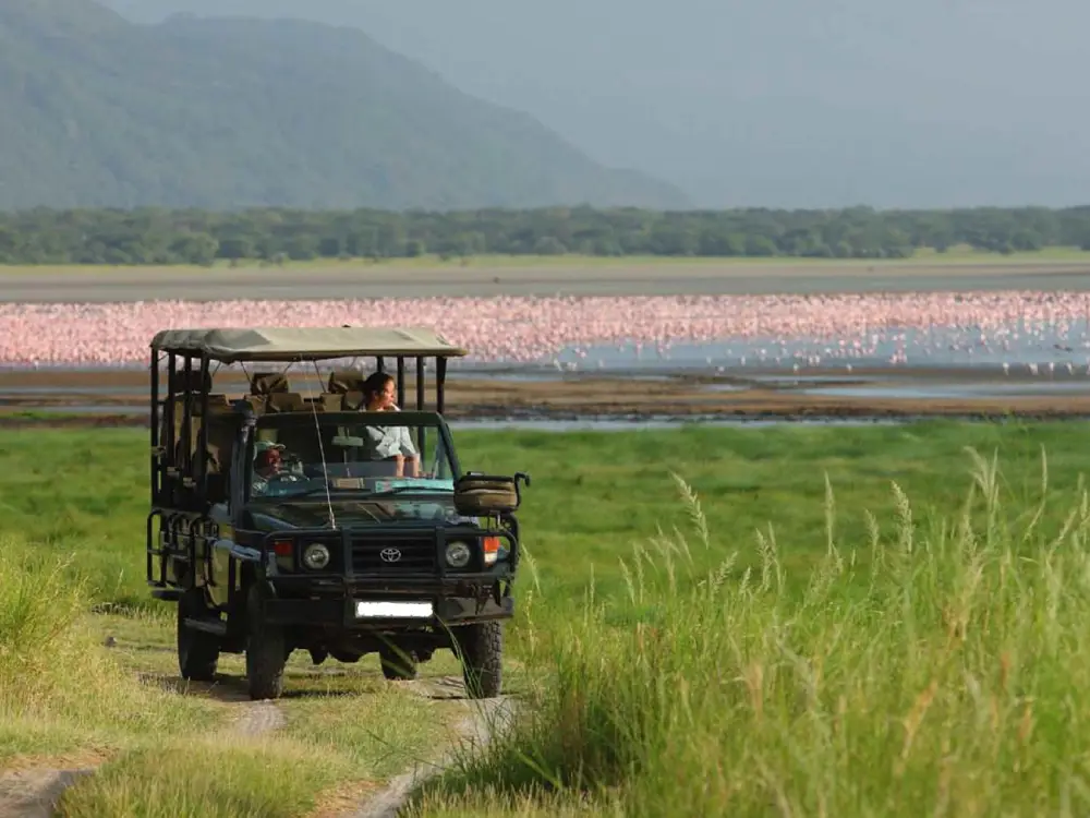Lake Manyara National Park Attractions