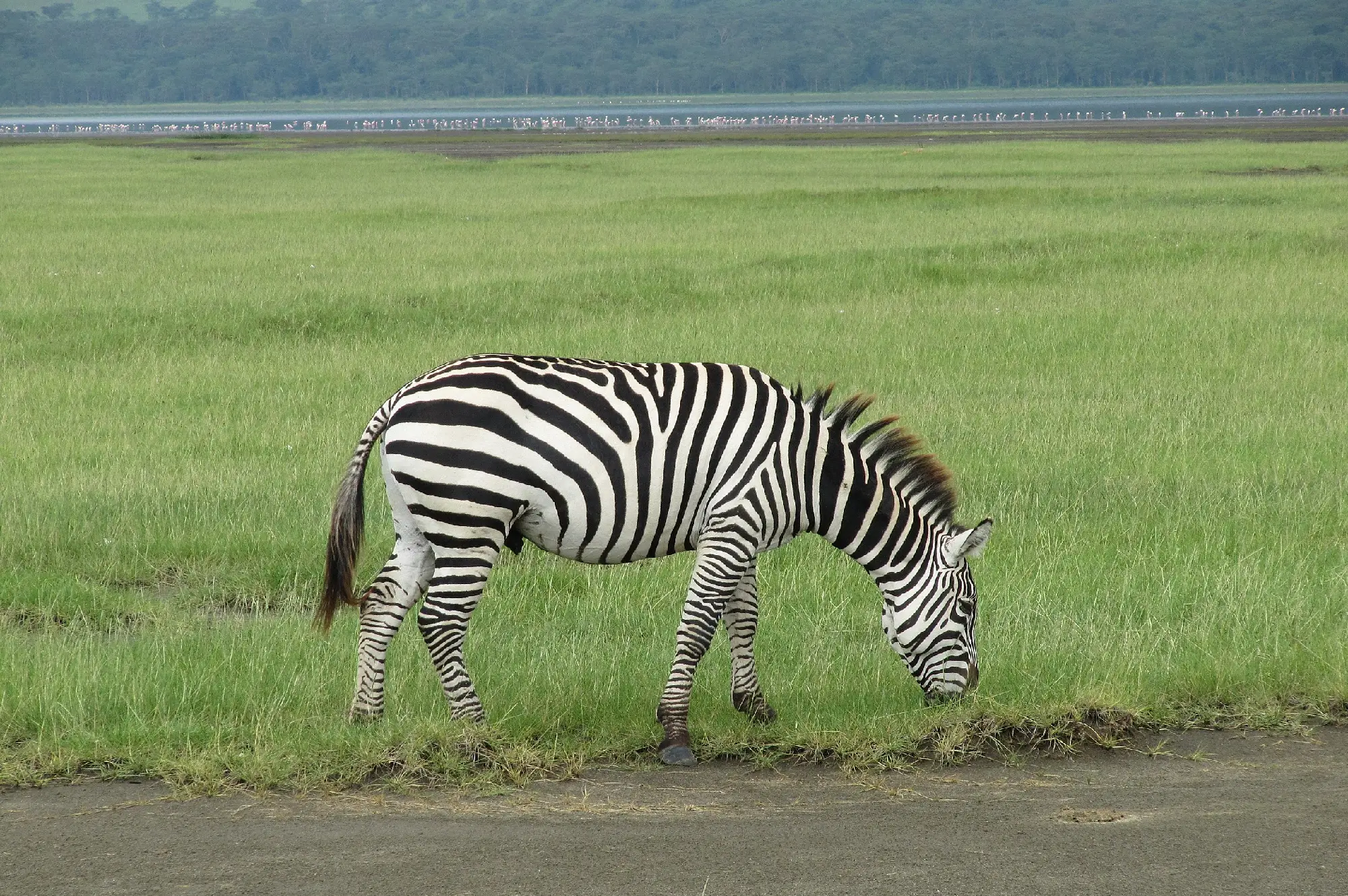 Lake Nakuru National Park Attractions