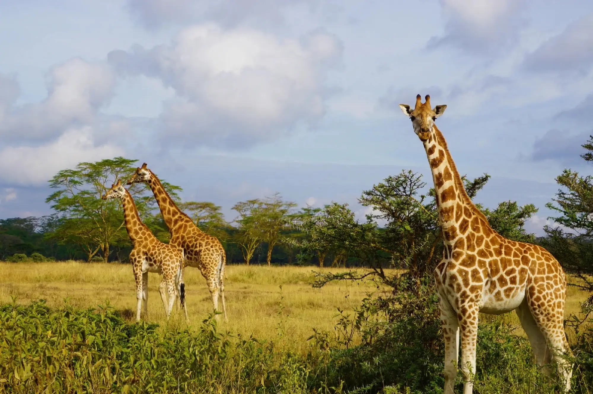 Lake Nakuru National Park Attractions