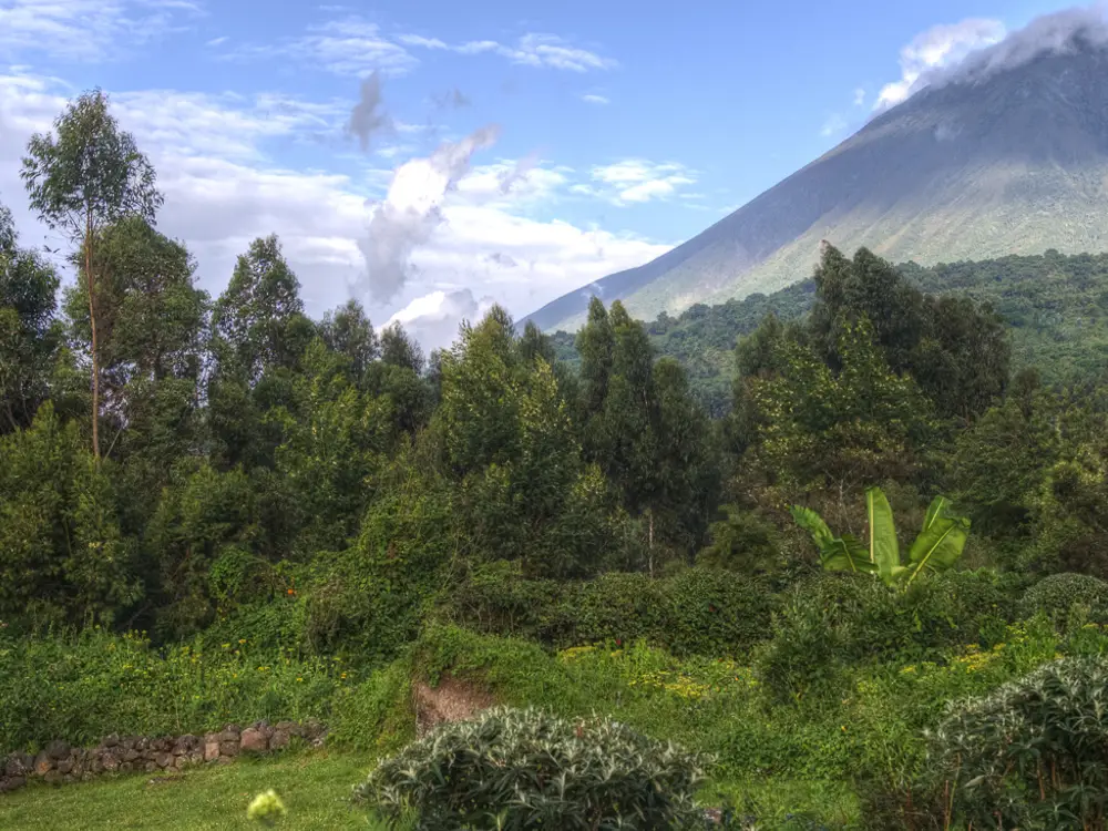 Mgahinga Gorilla National Park Attraction