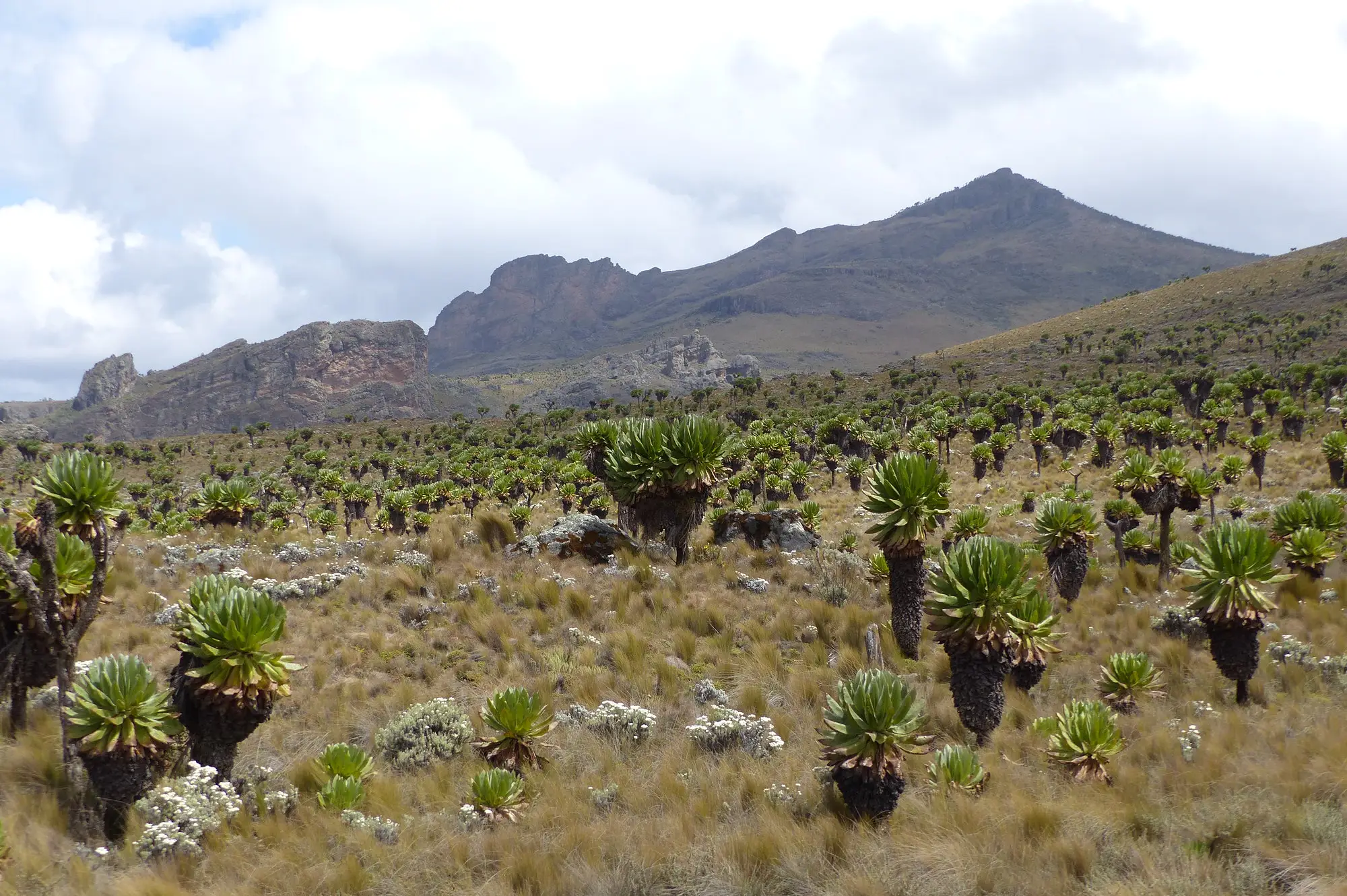 Mount Elgon Attraction