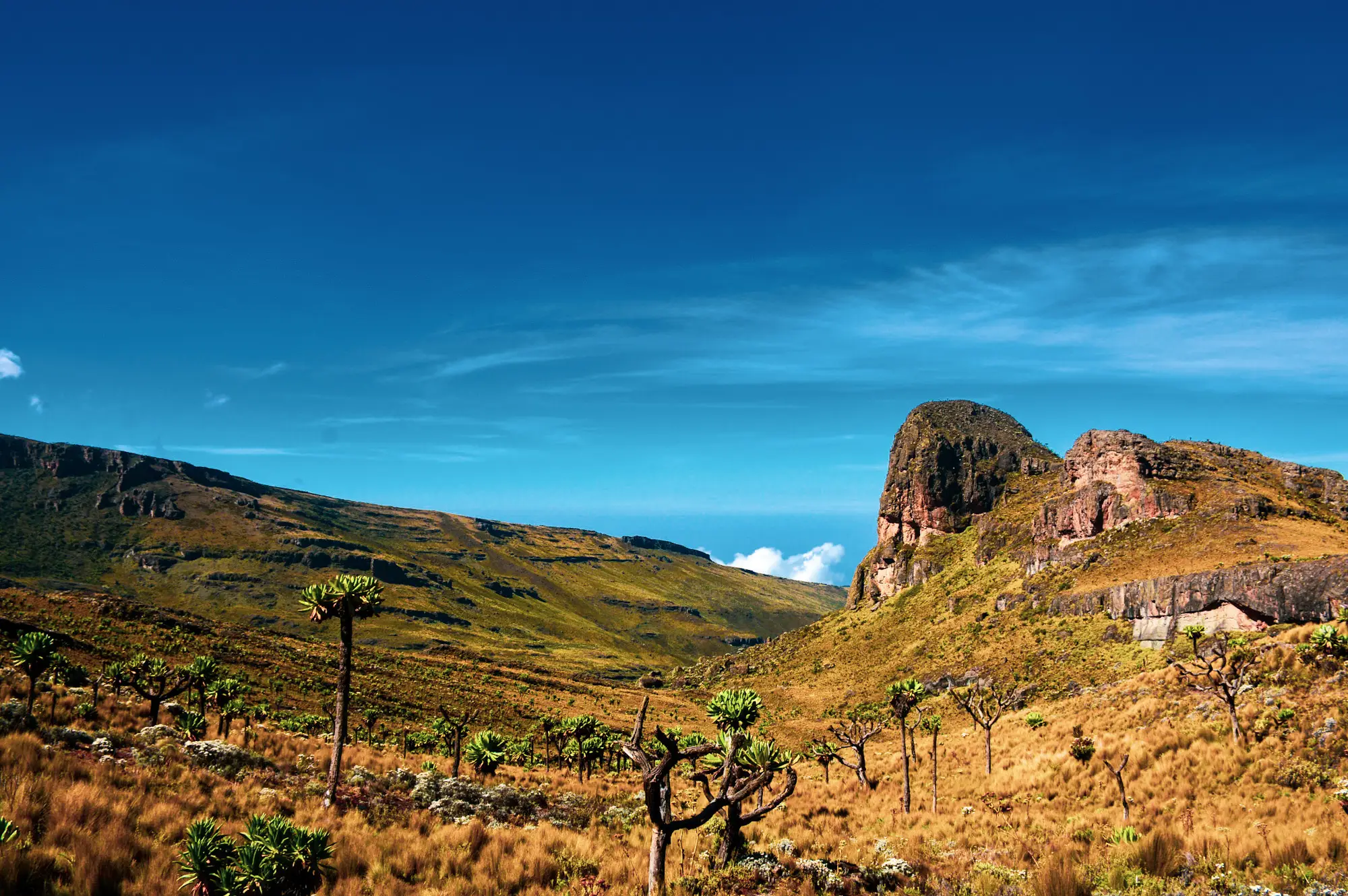 Mount Elgon Attraction