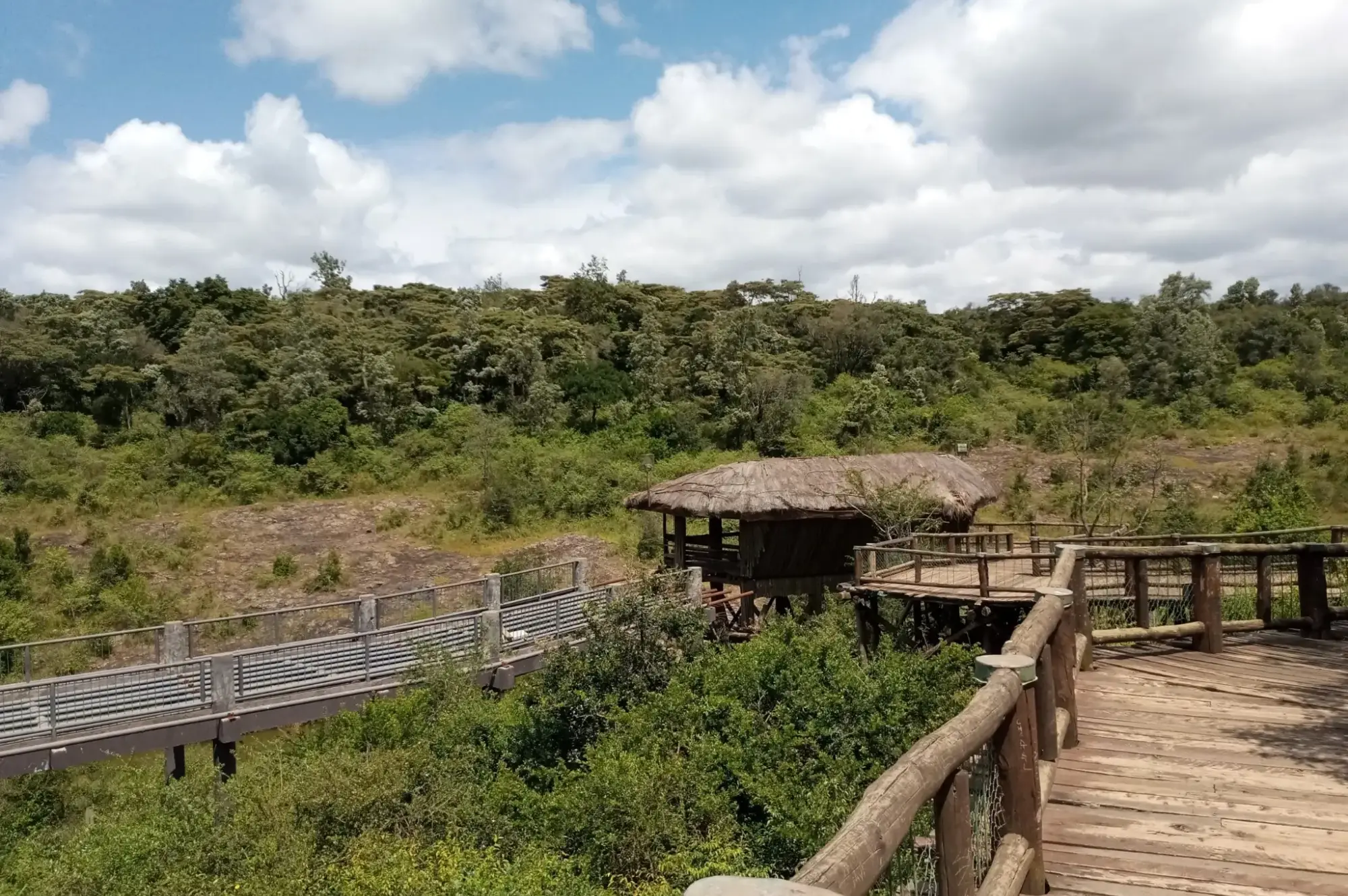 Nairobi National Park Attractions