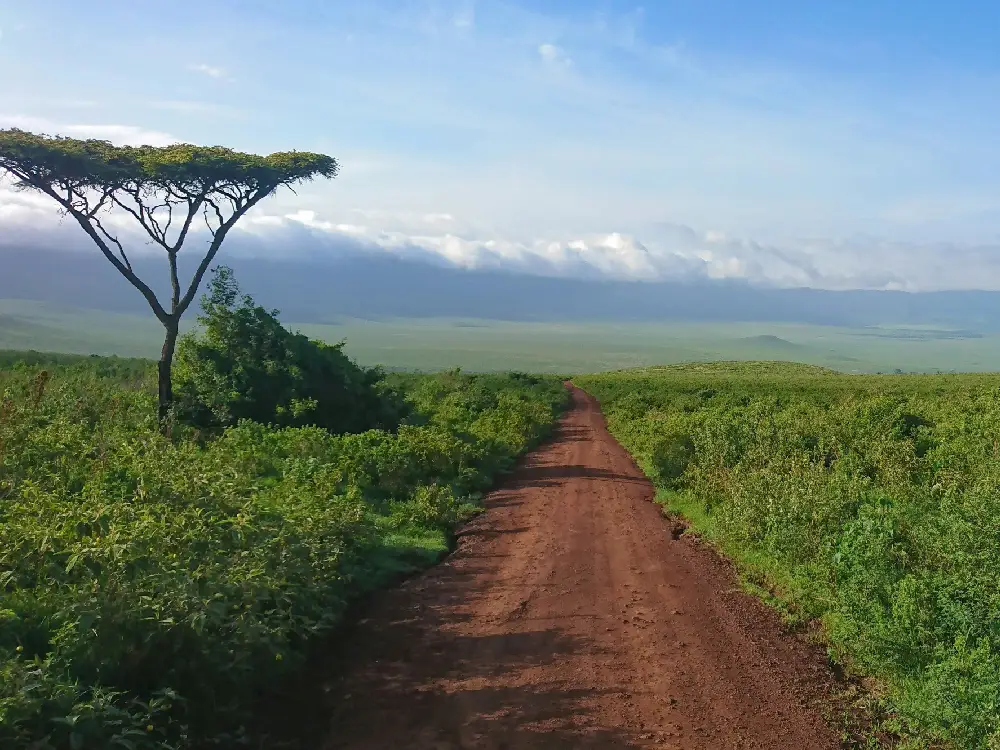 Ngorongoro Crater Attractions