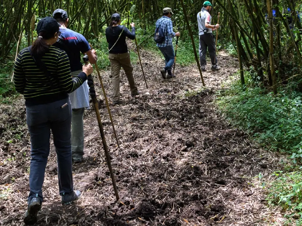 Nyungwe Forest National Park Attractions