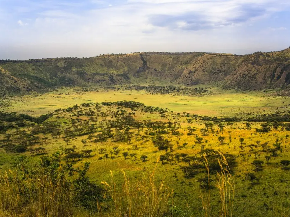 Queen Elizabeth National Park Attraction