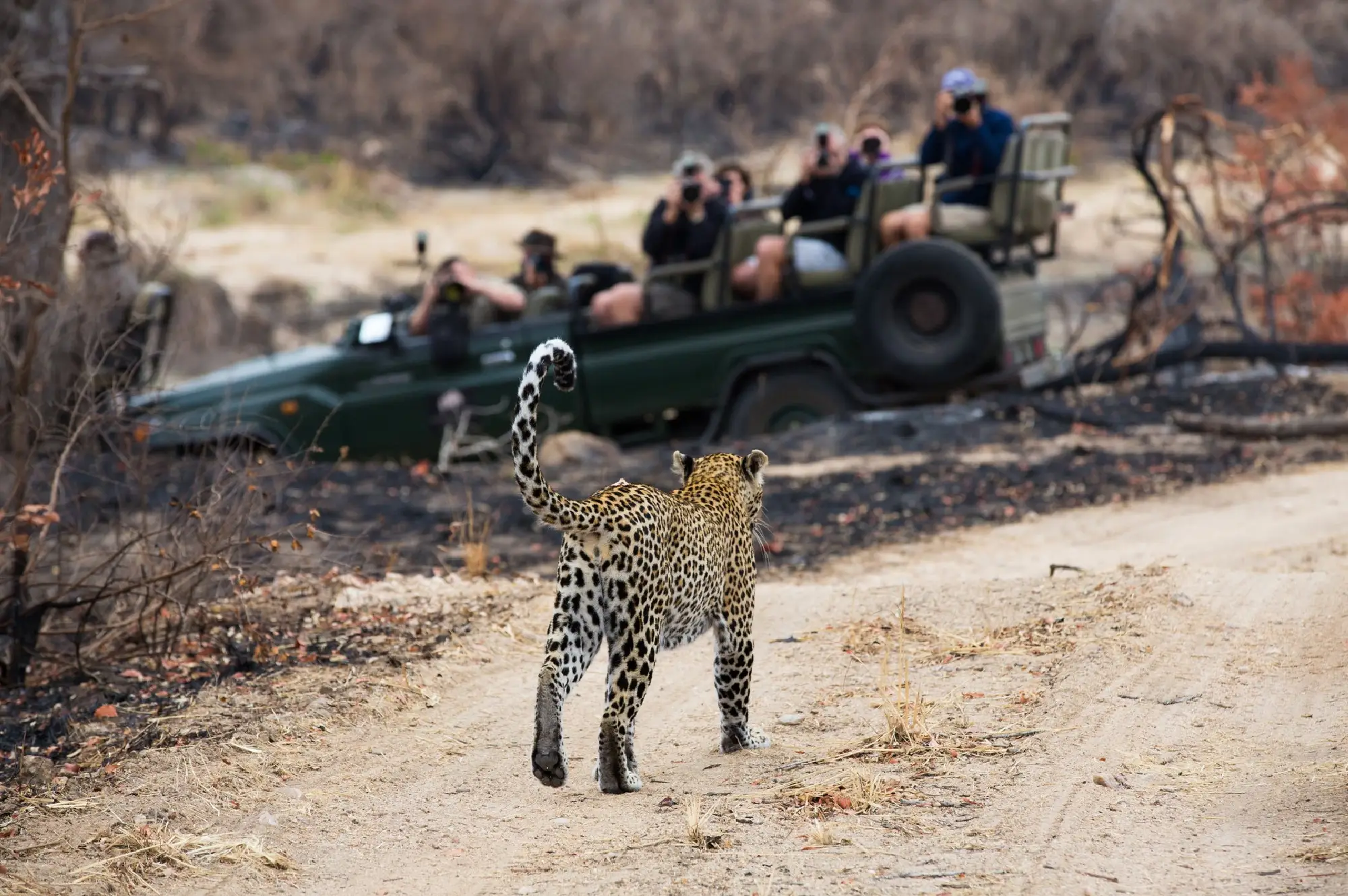 Queen Elizabeth National Park Attraction