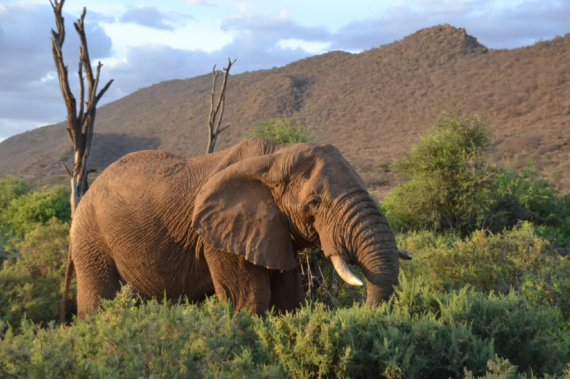 Samburu Game Reserve Attractions