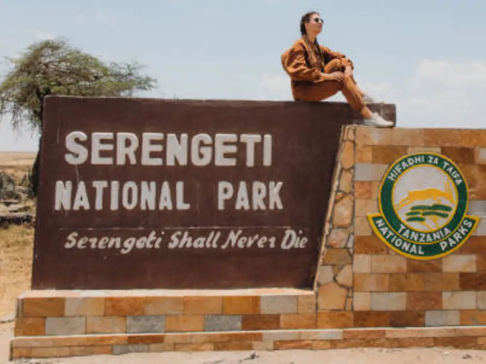 Serengeti National Park Attractions
