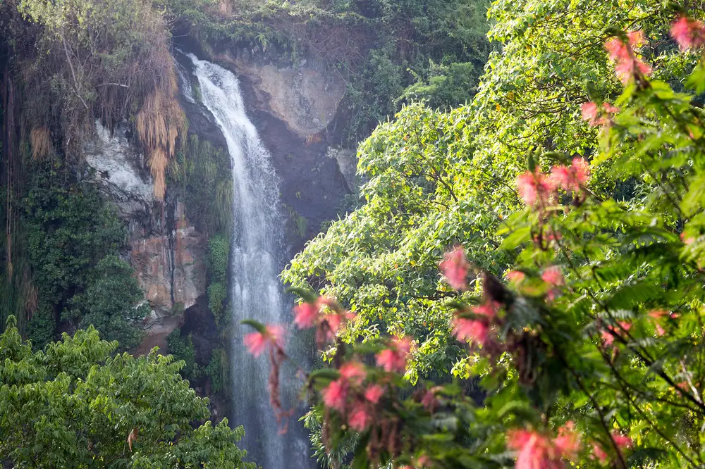 Sipi Fall Attraction