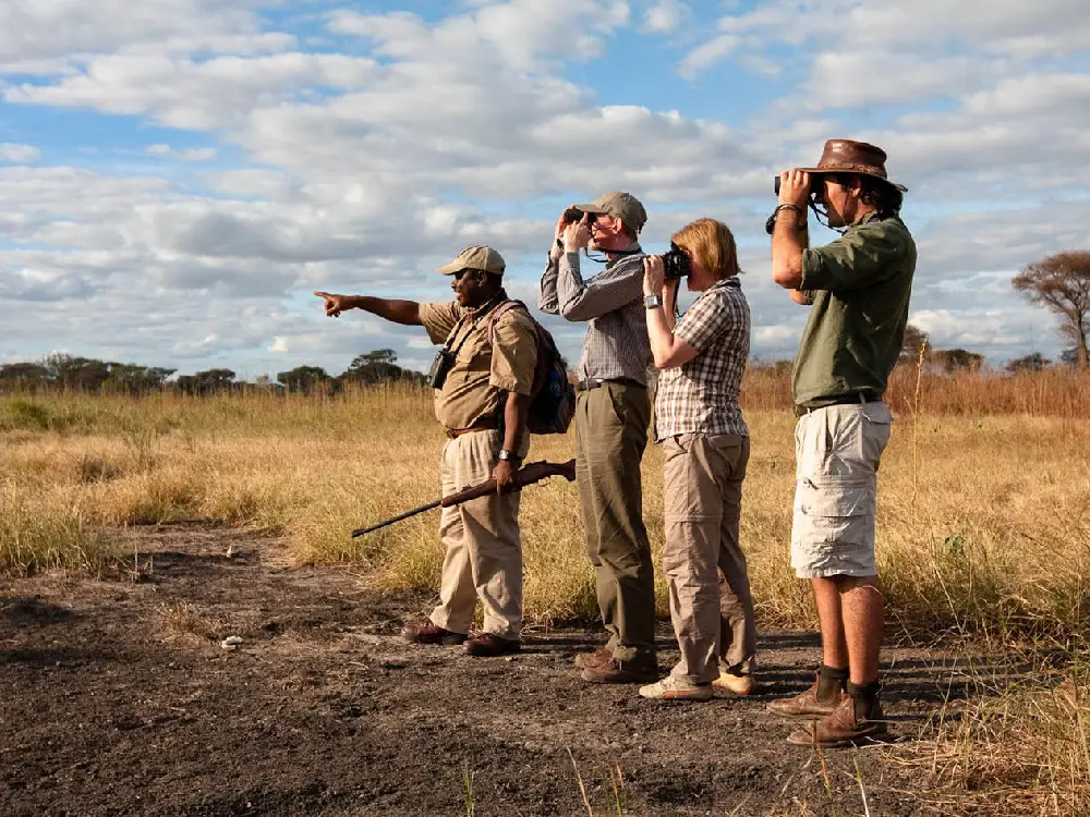 Tarangire National Park Attractions