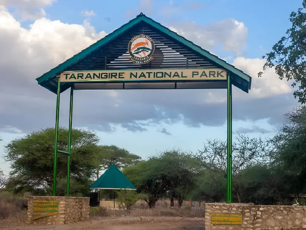 Tarangire National Park Attractions
